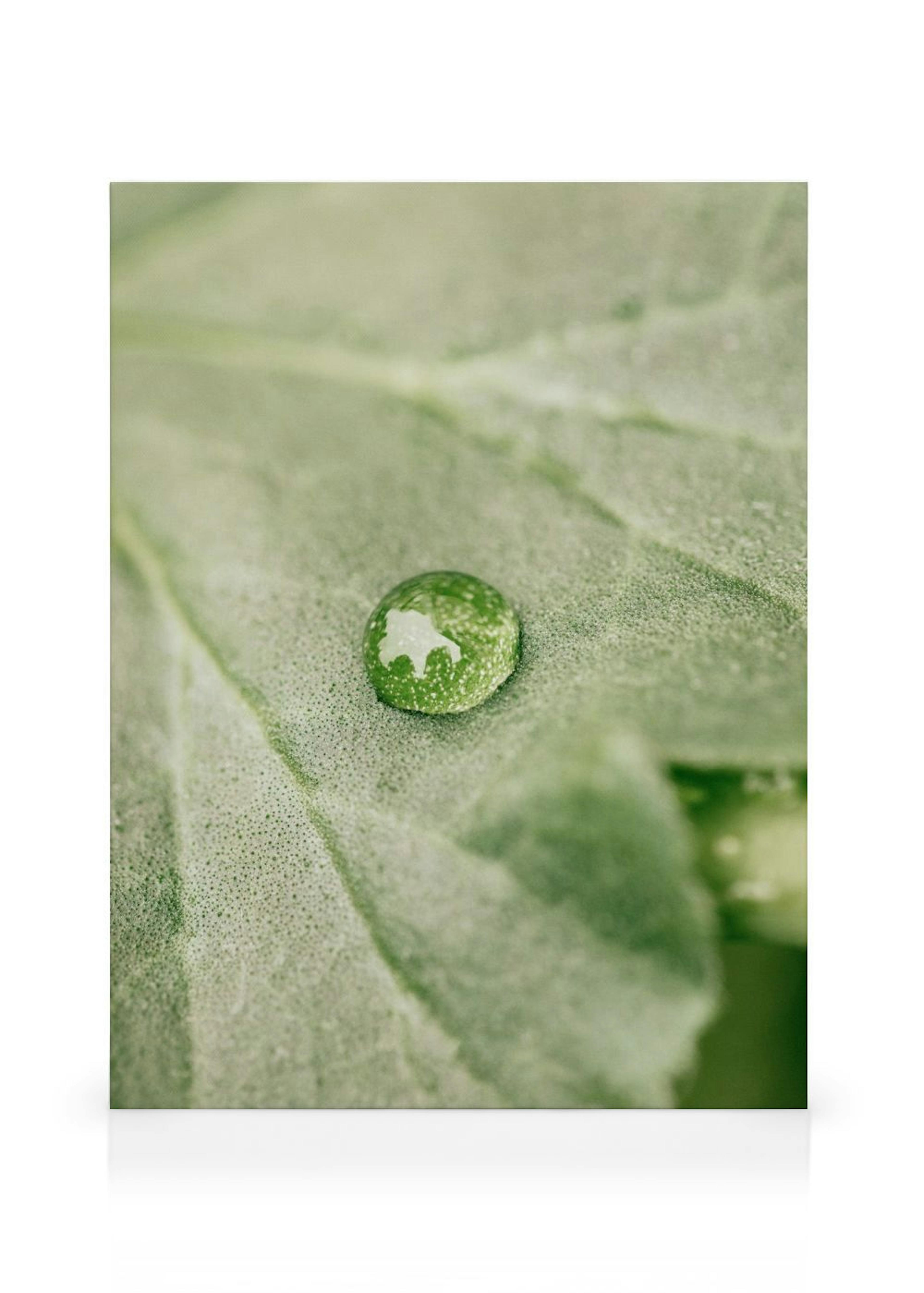 Product image: 1