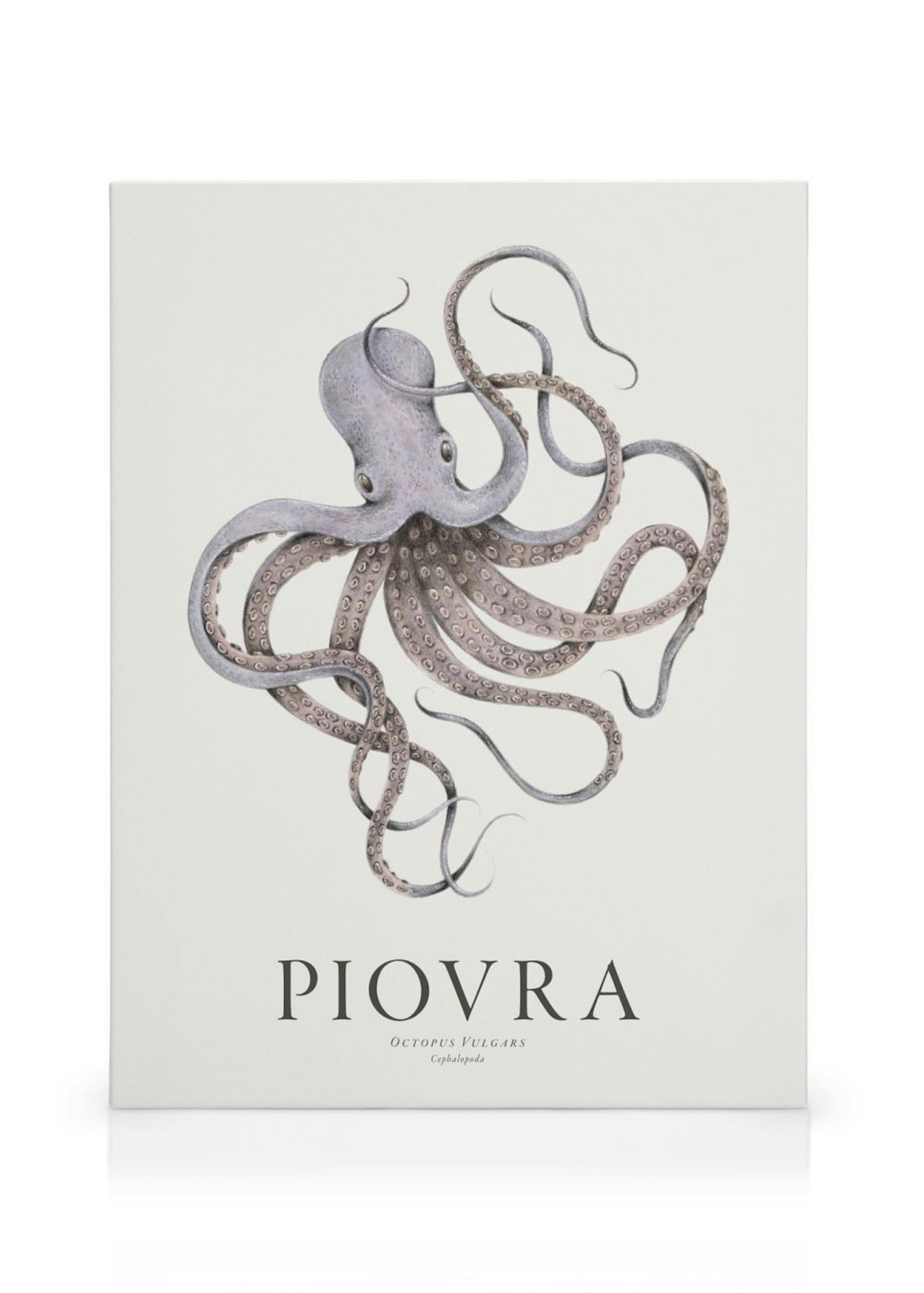 Product image: 1