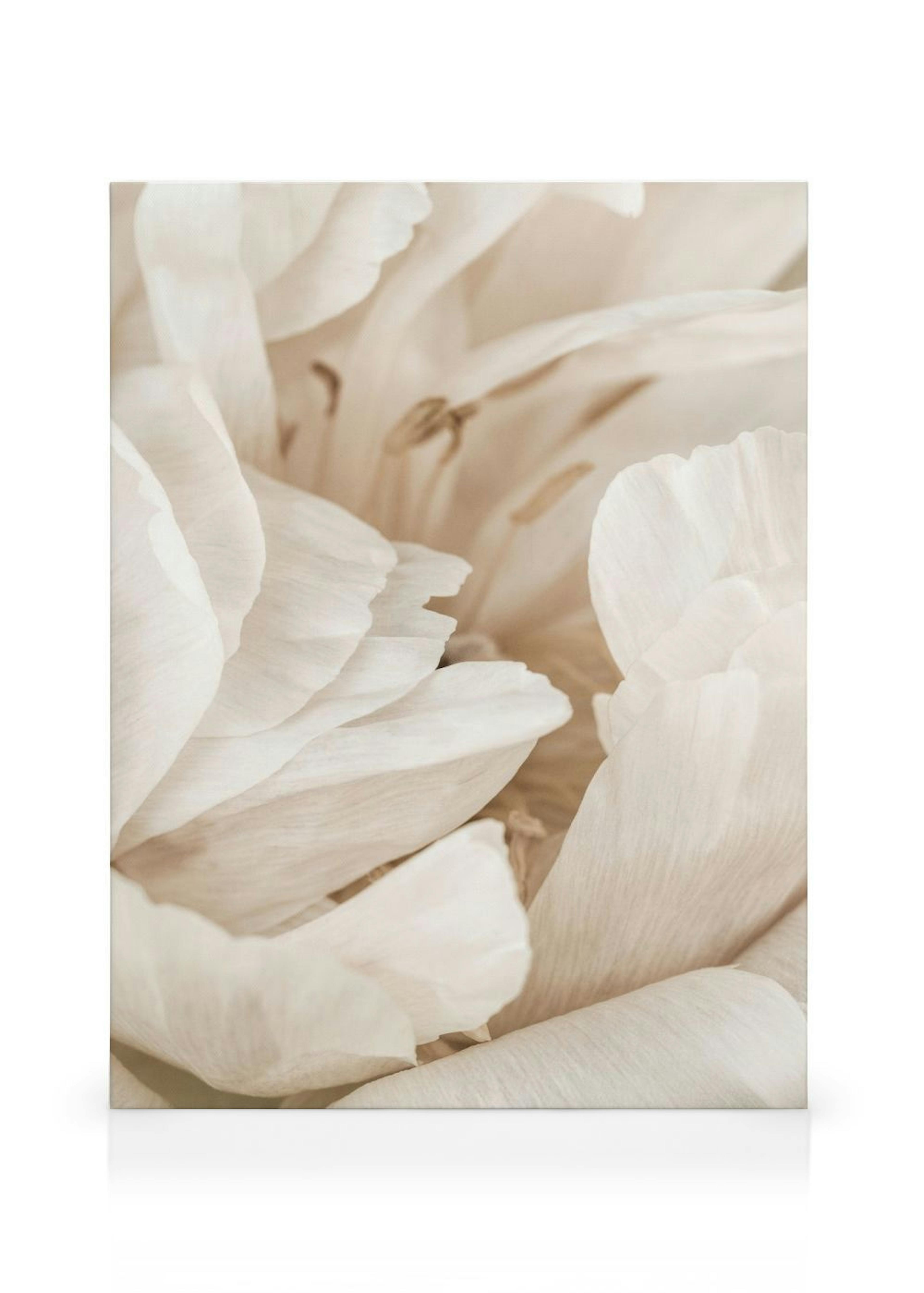Product image: 1