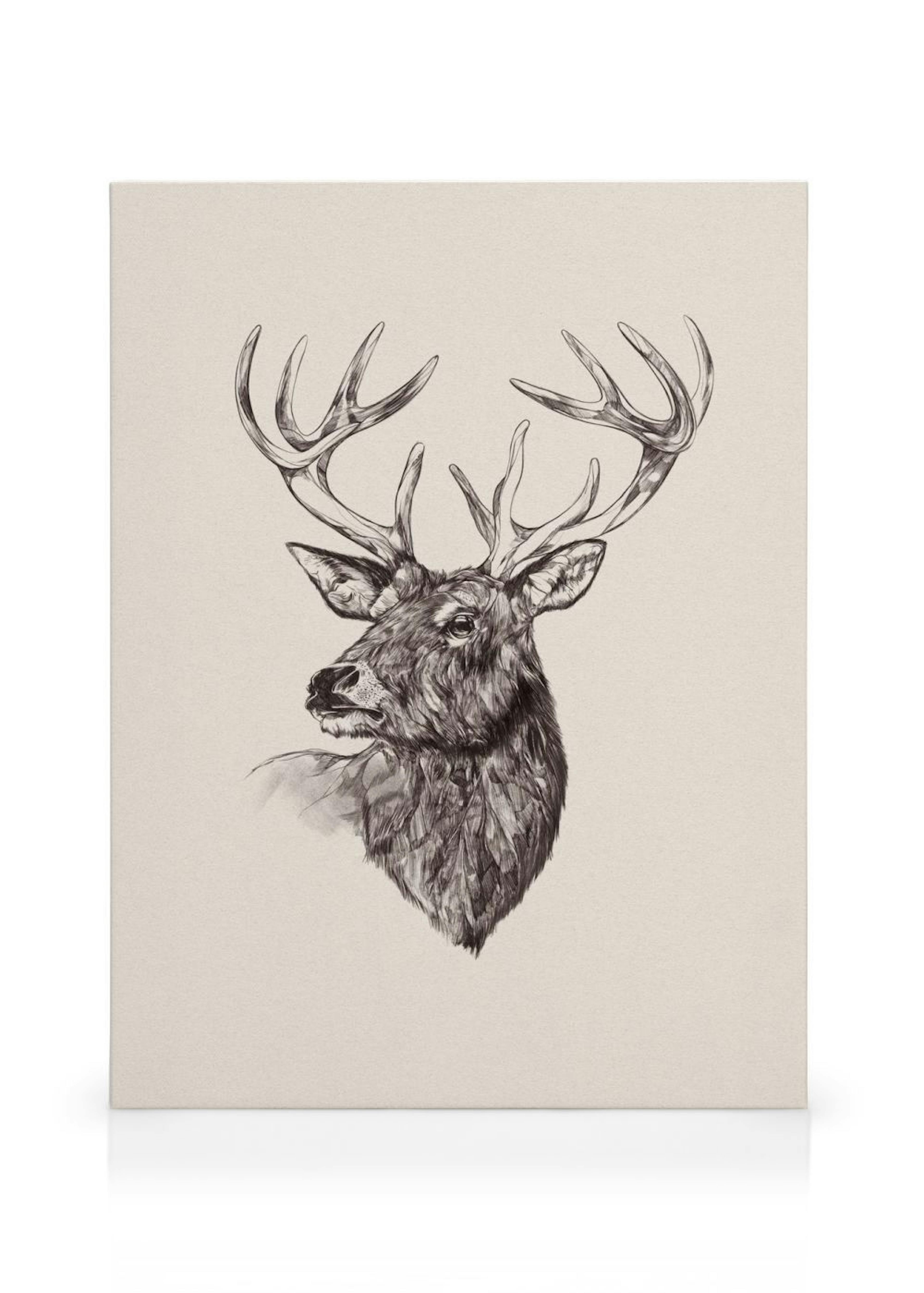 Product image: 1