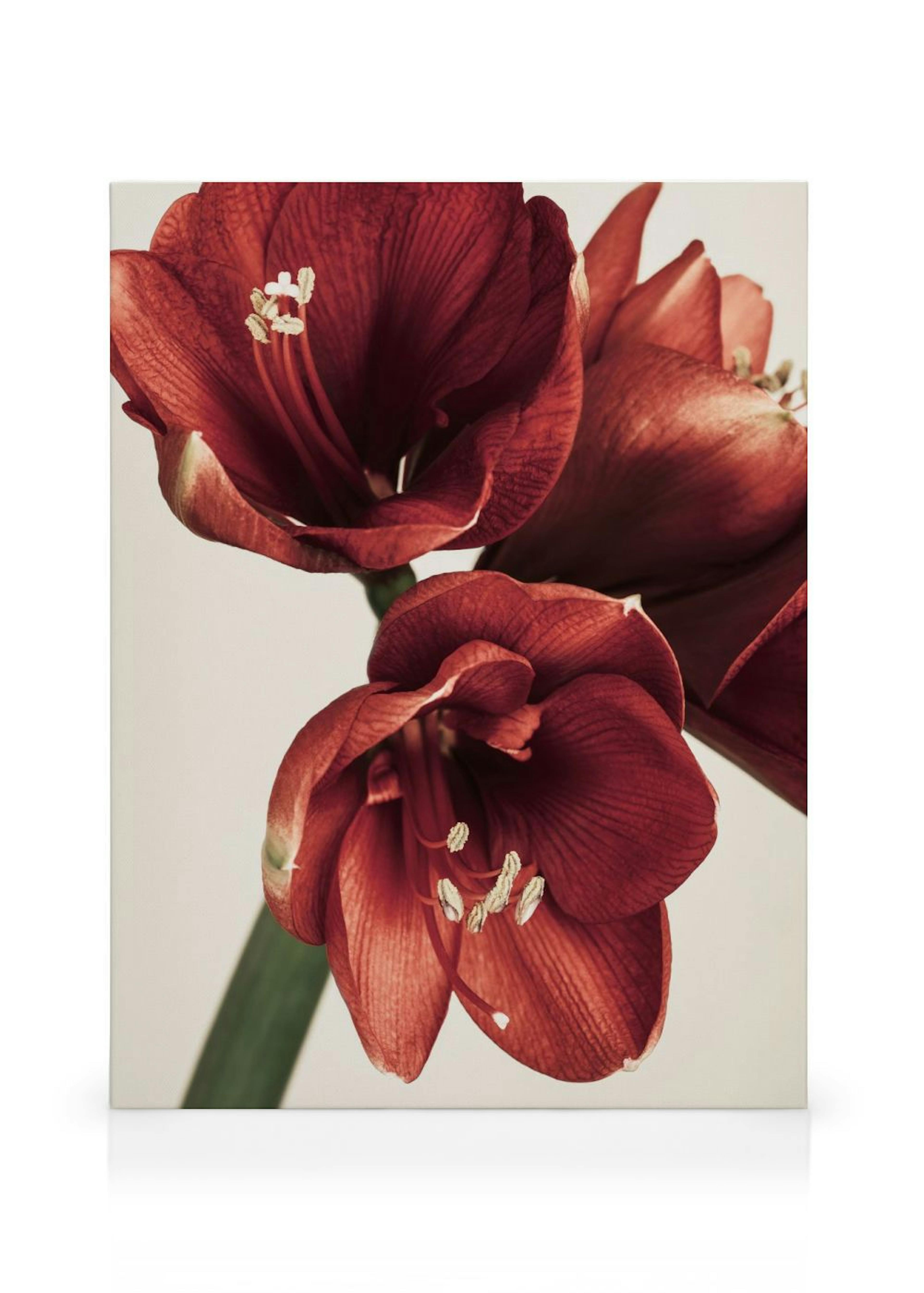 Product image: 1