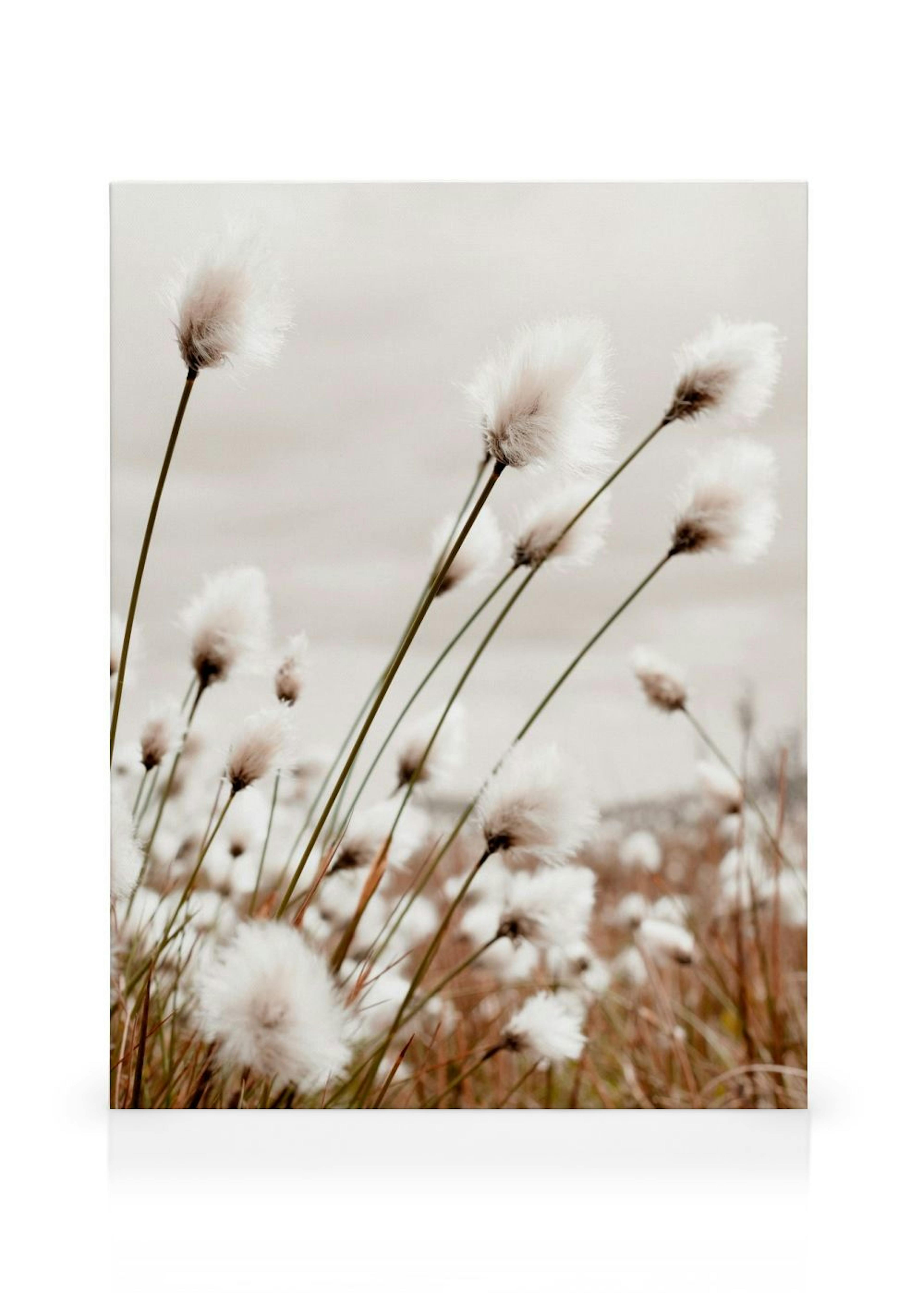 Product image: 1