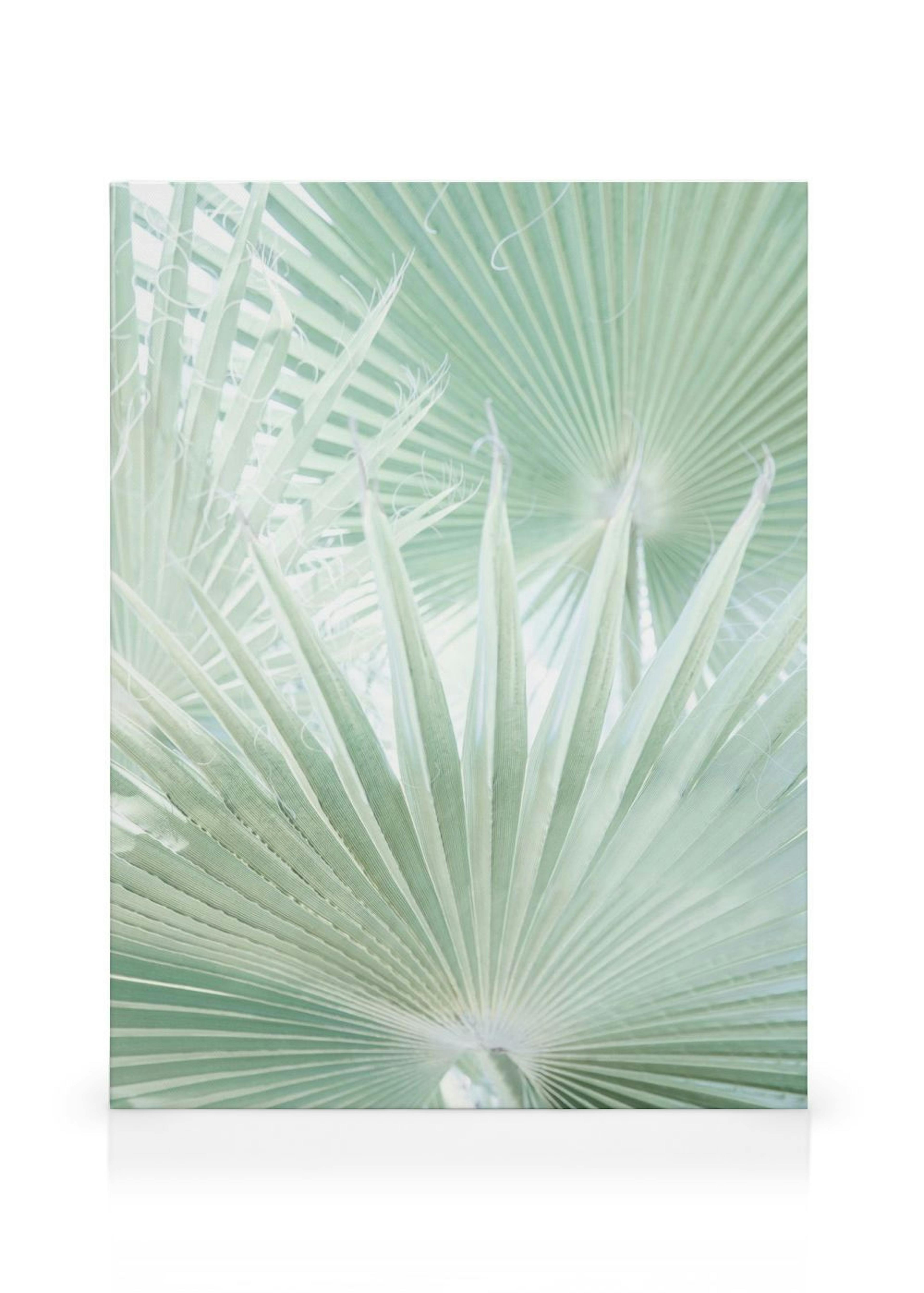 Product image: 1