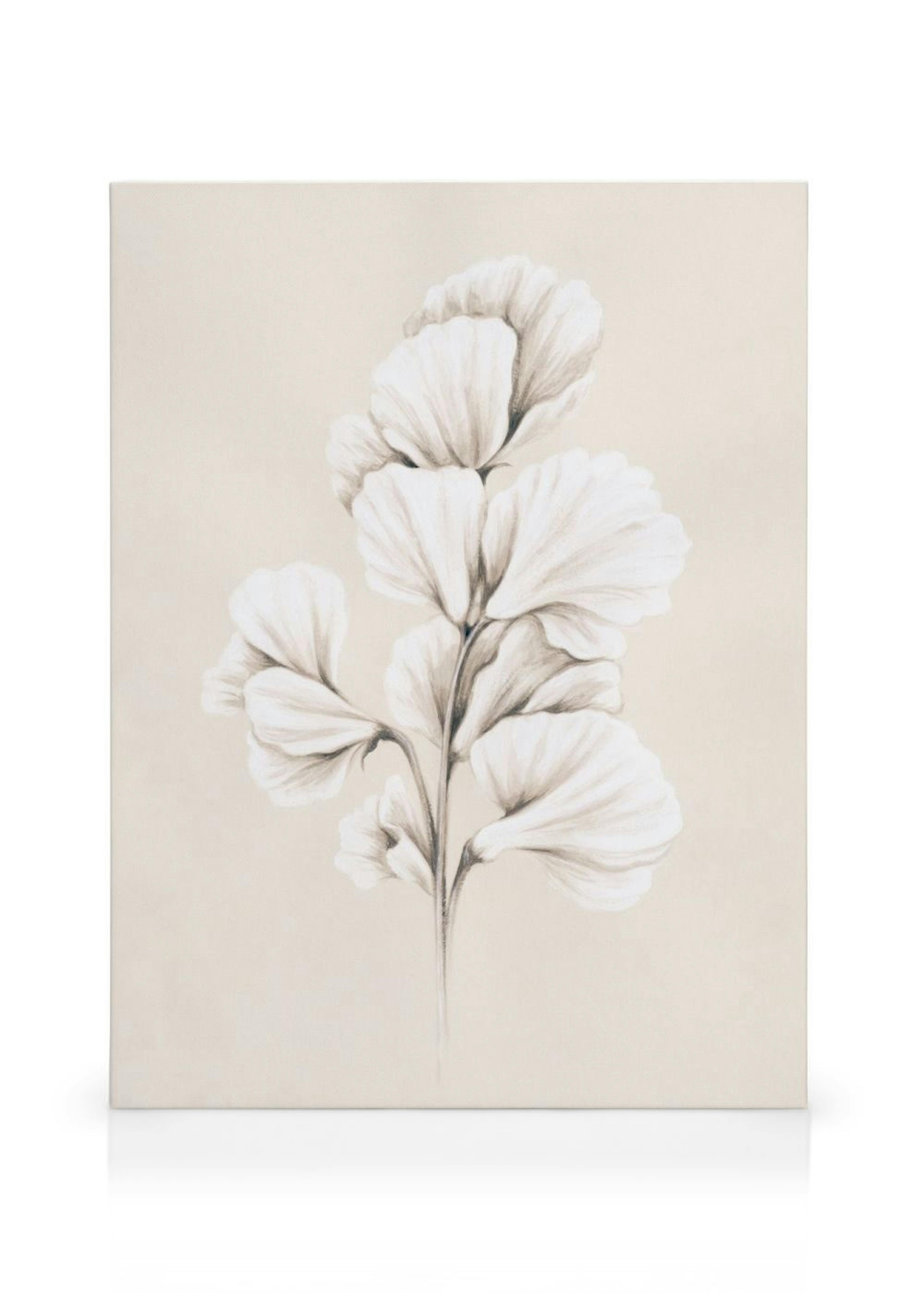 Painted Sweet Pea Toile
