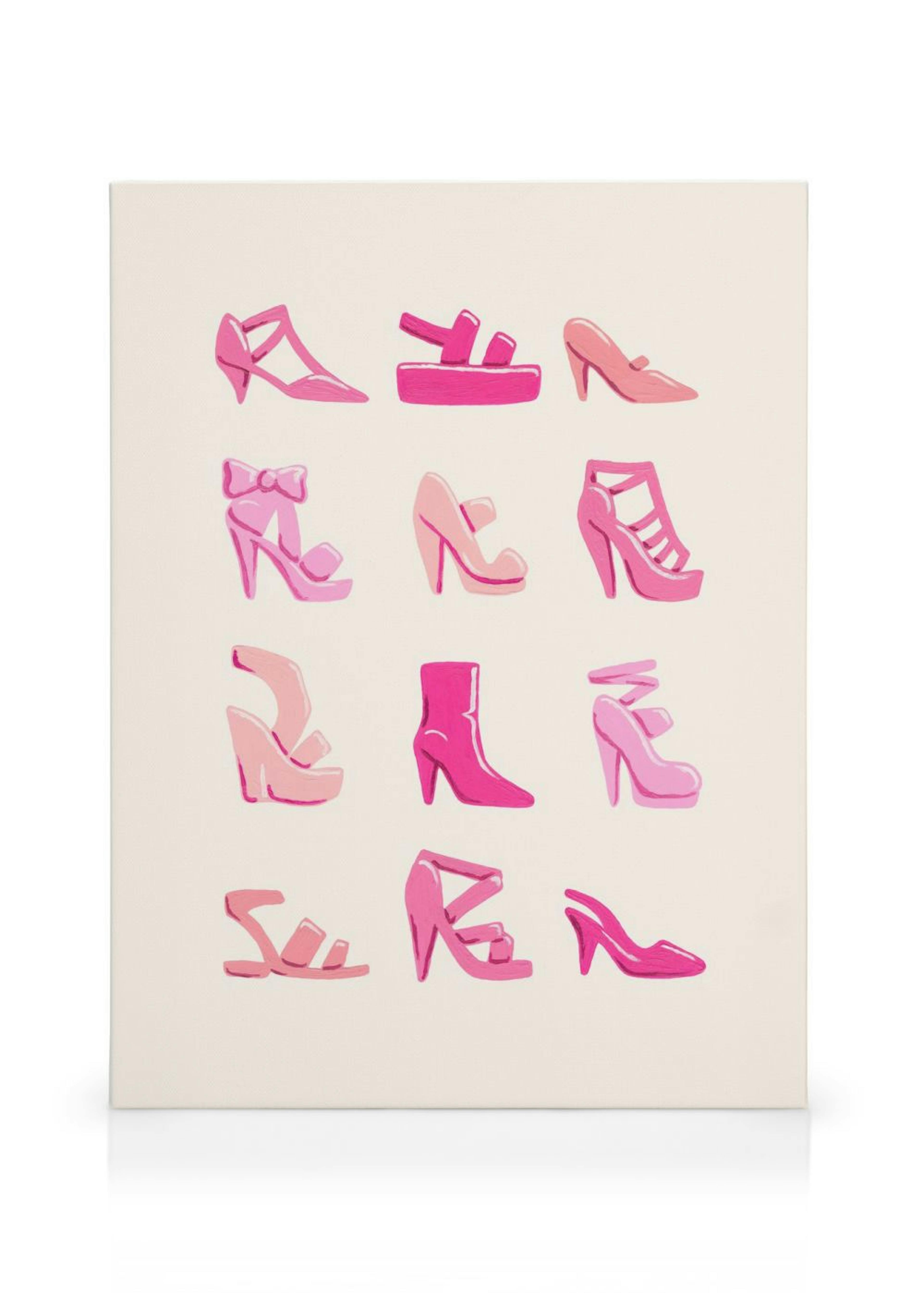 Pink Shoe Collection Canvas print