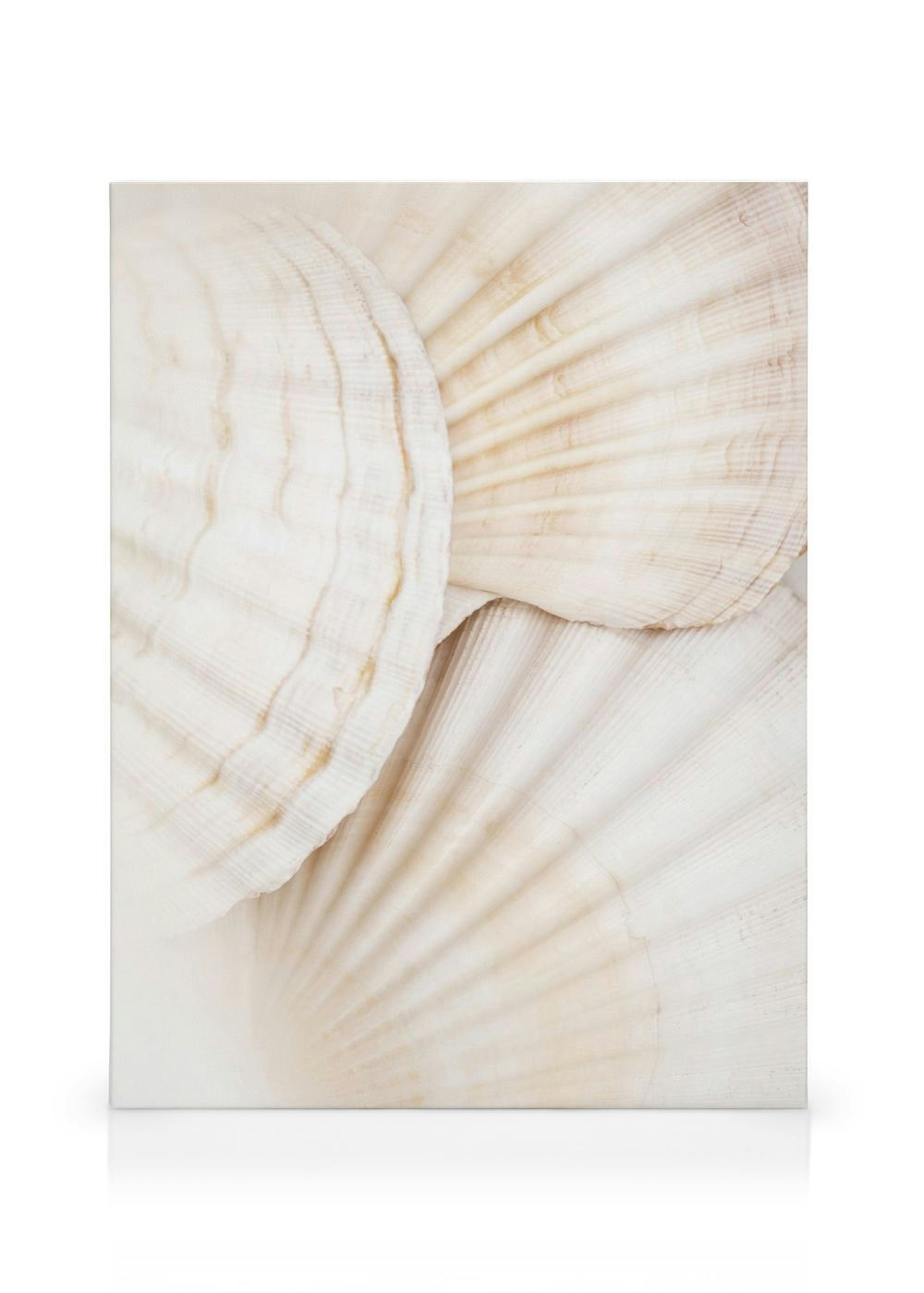 Product image: 1