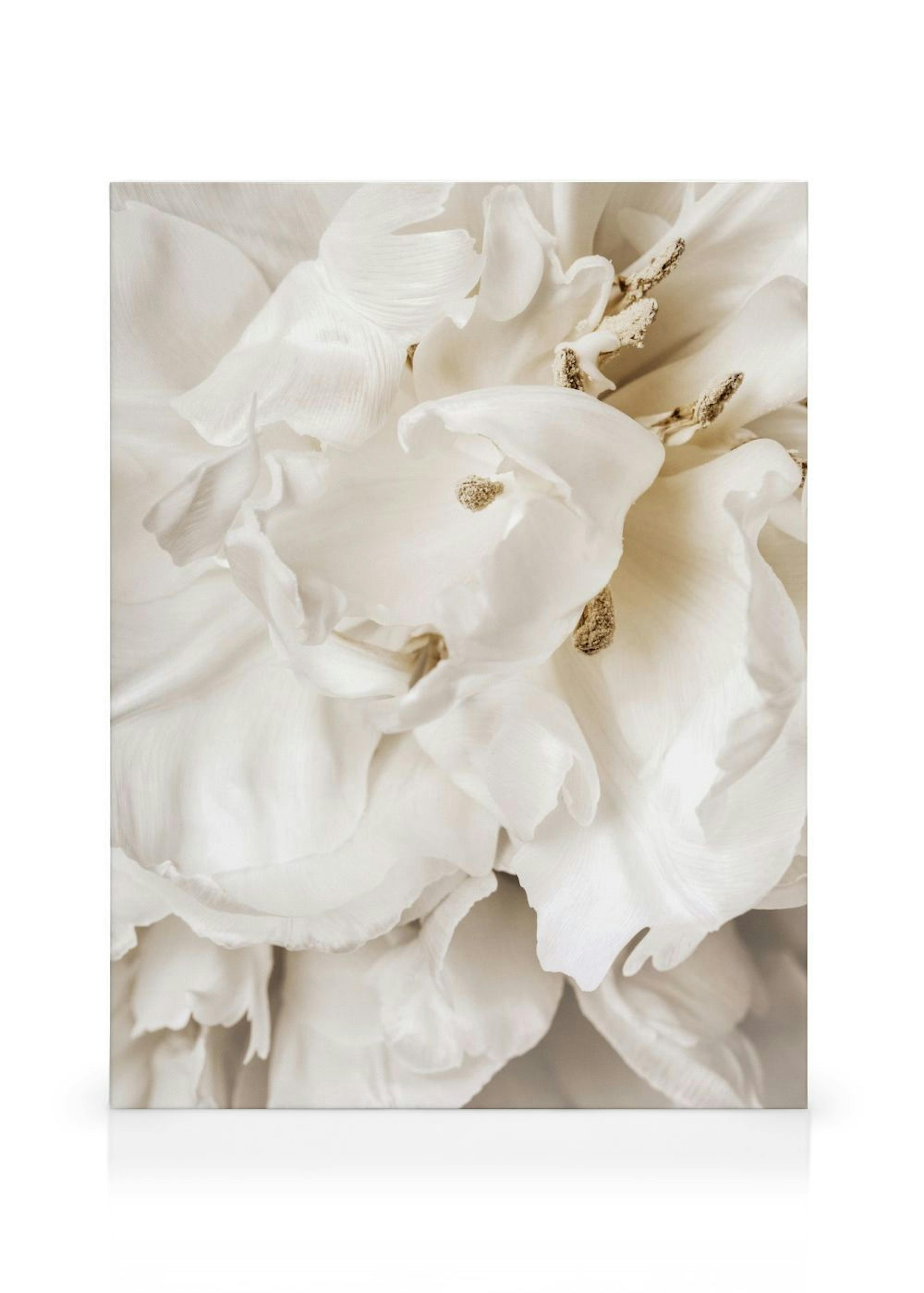 Product image: 1