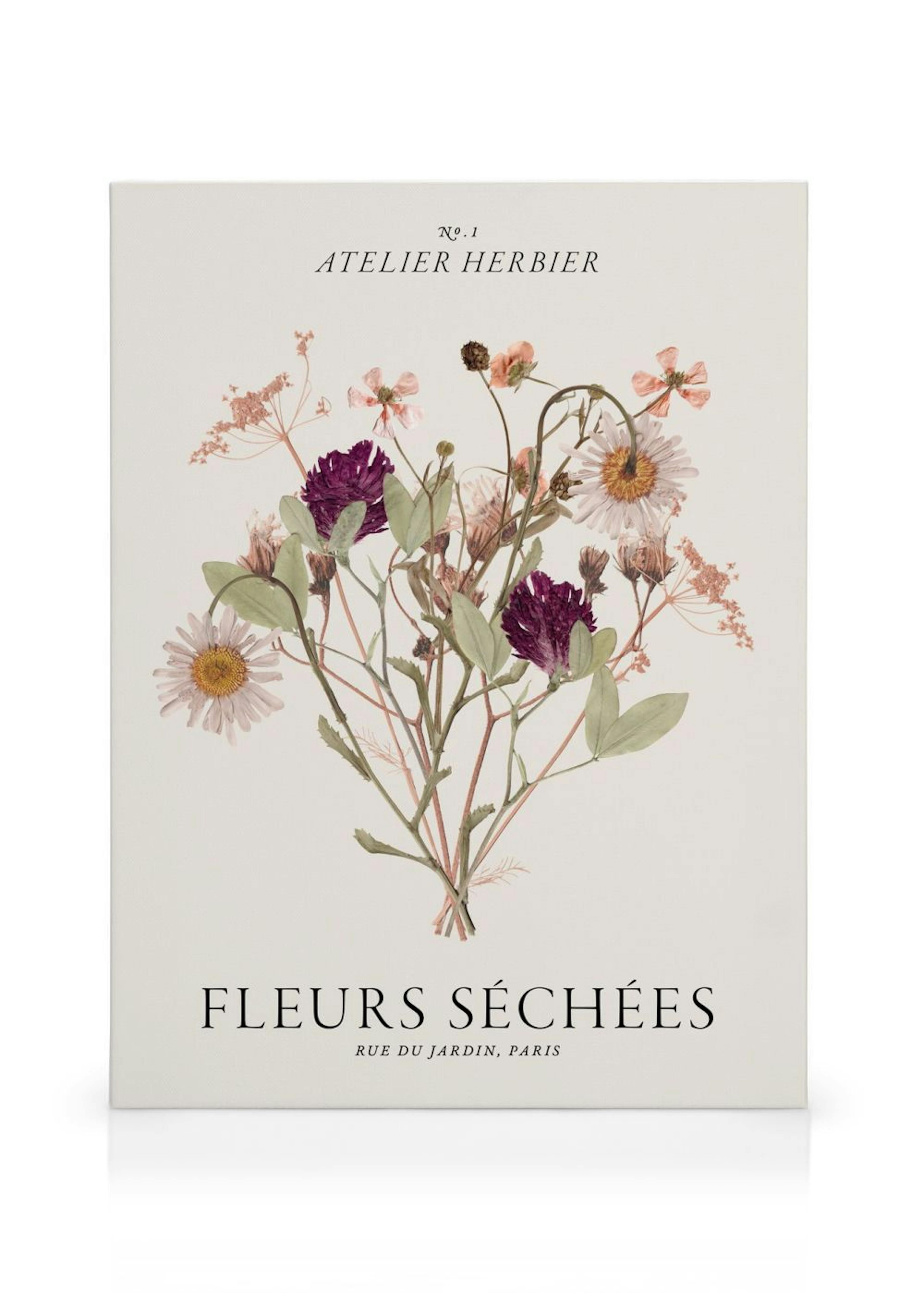 Fleurs Séchées Toile