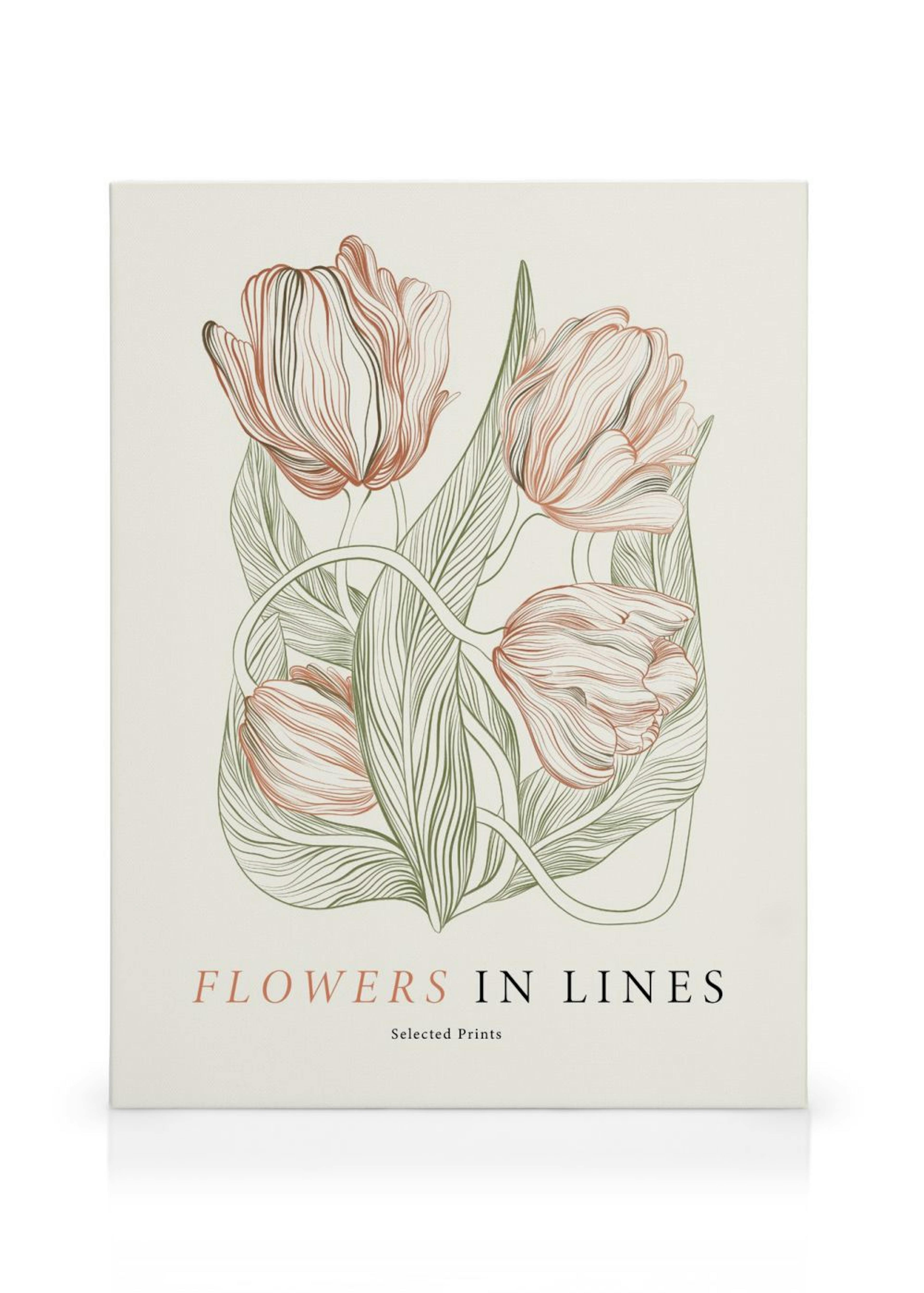 Flowers in Lines No2 Leinwandbild