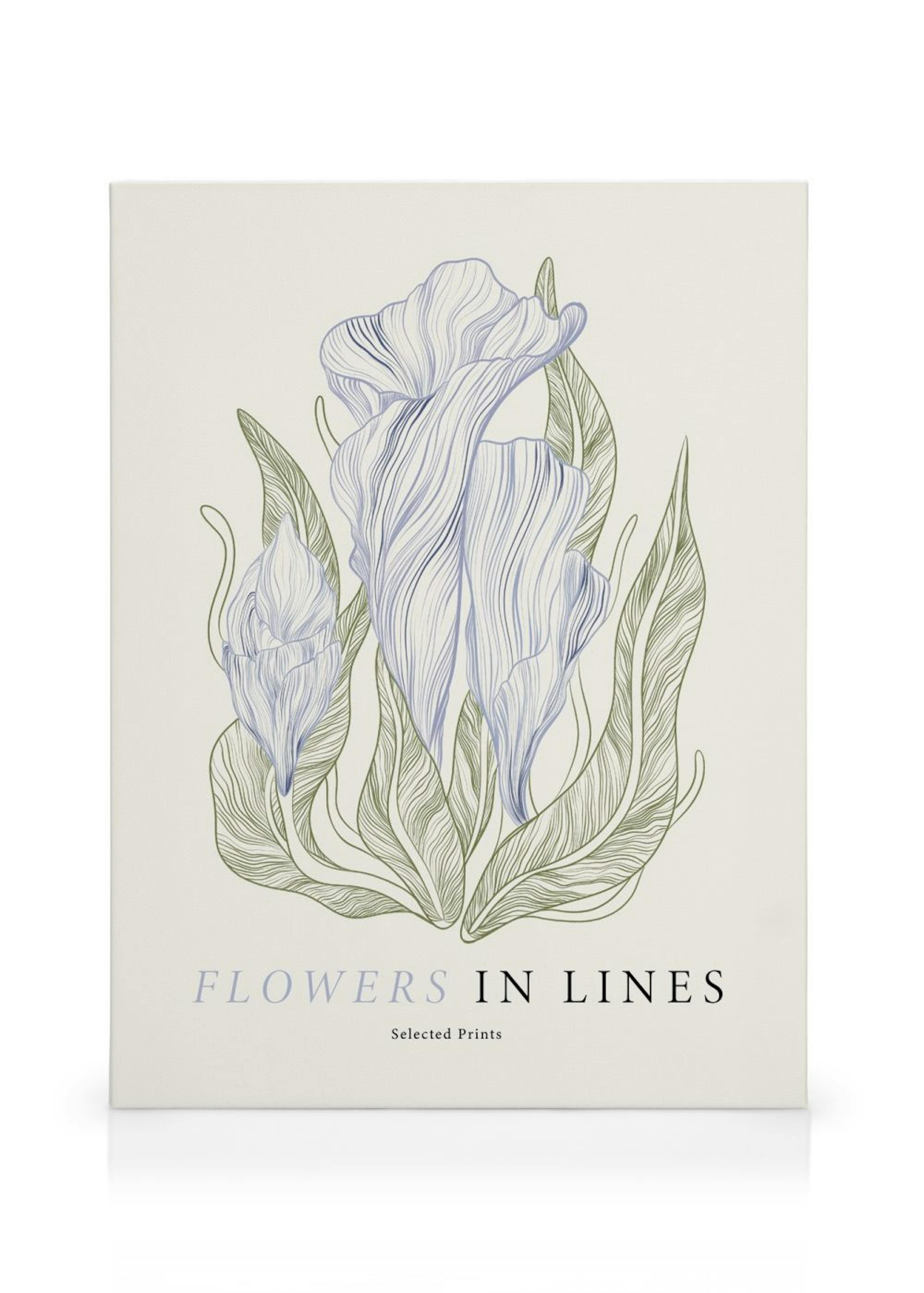 Flowers in Lines No1 obraz na plátně