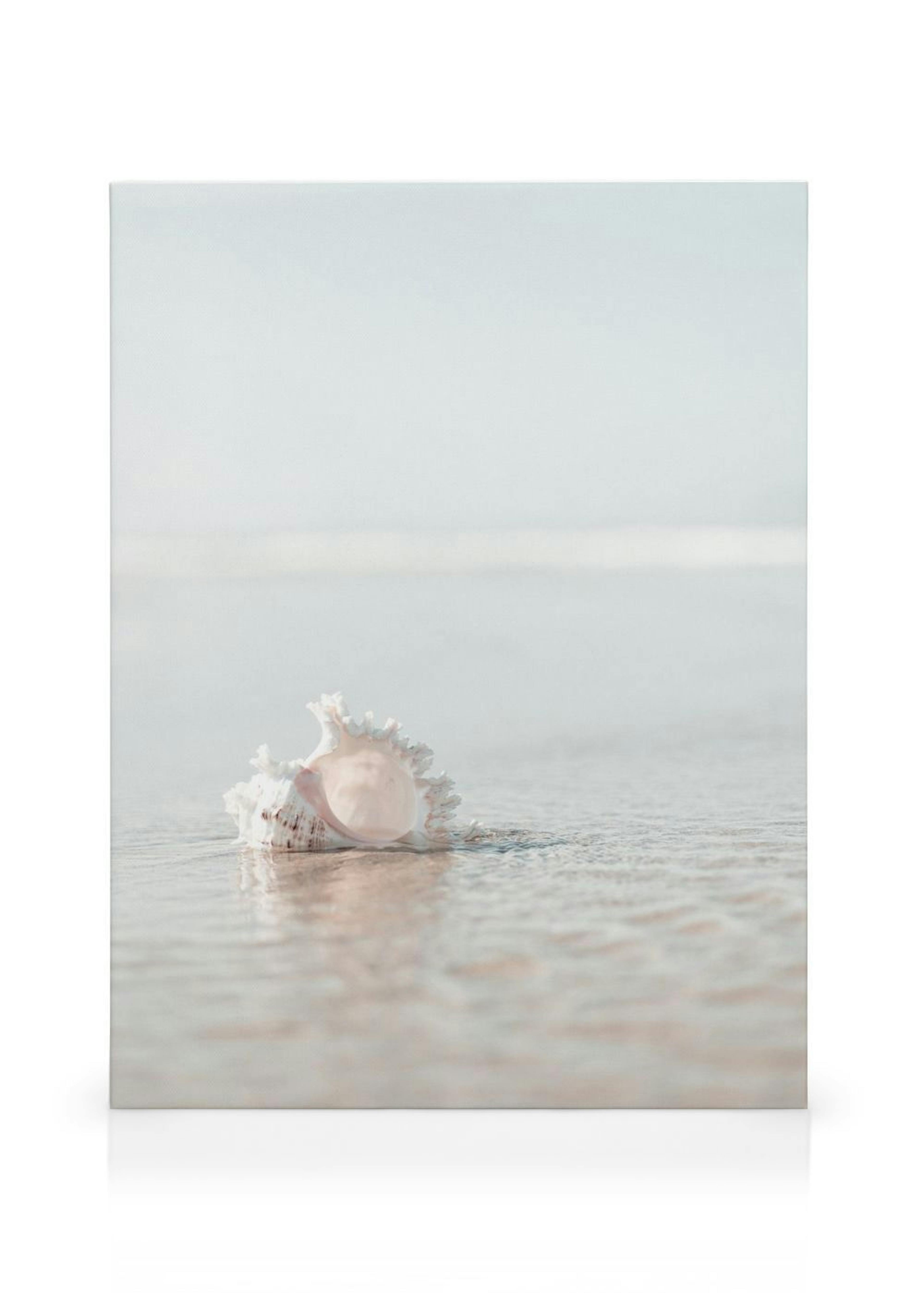 Product image: 1