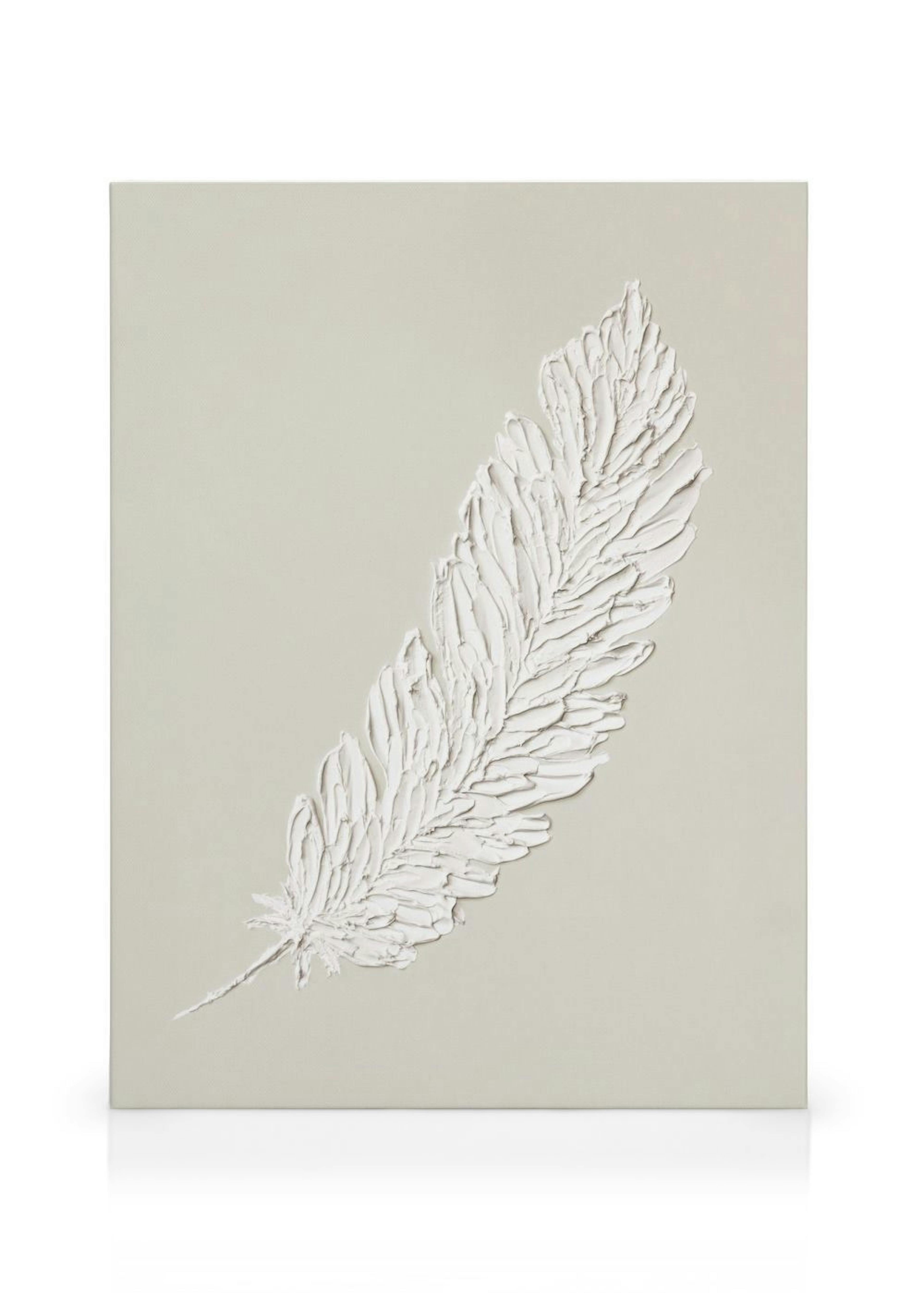 Feather Texture Canvas print