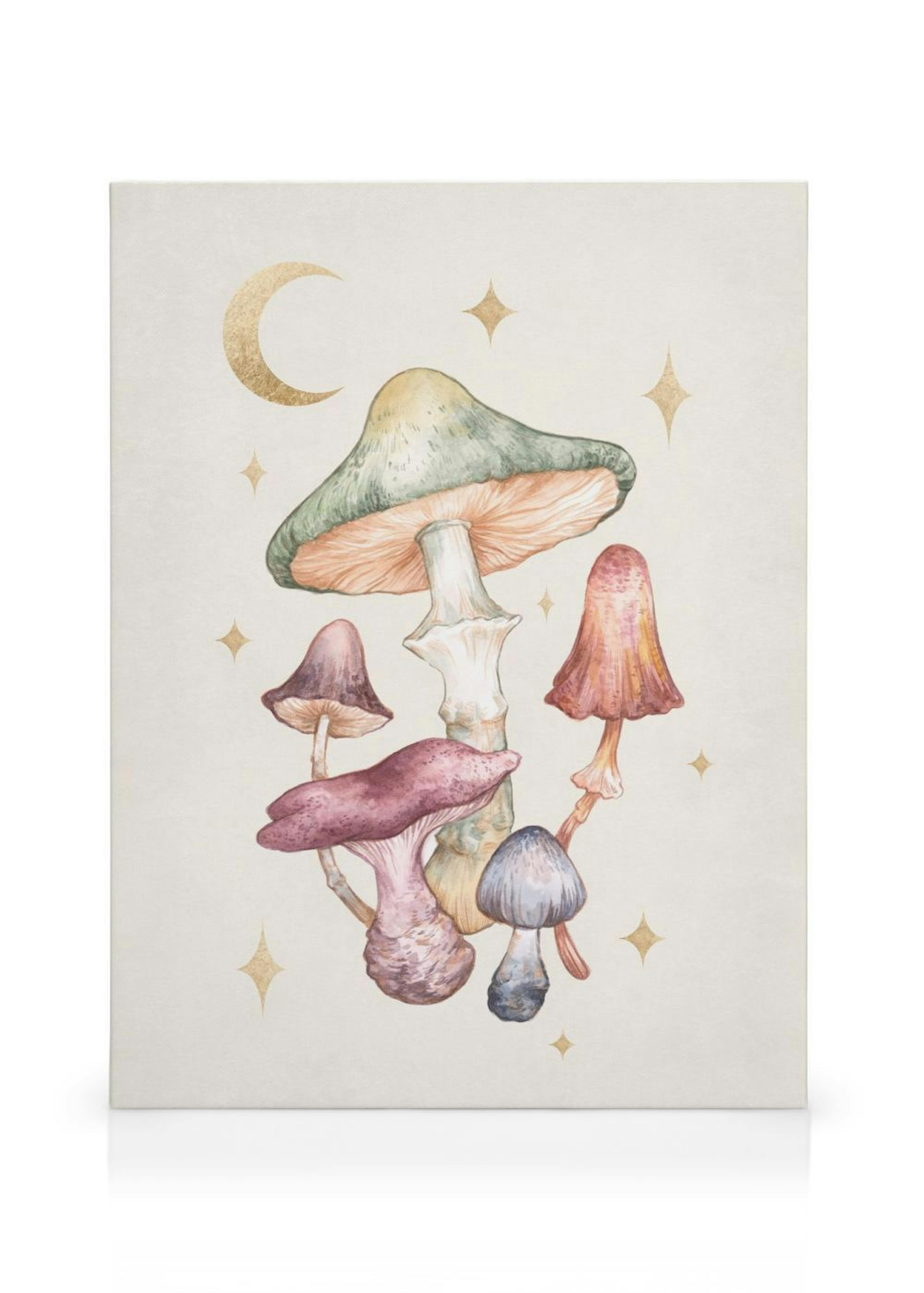 Product image: 1
