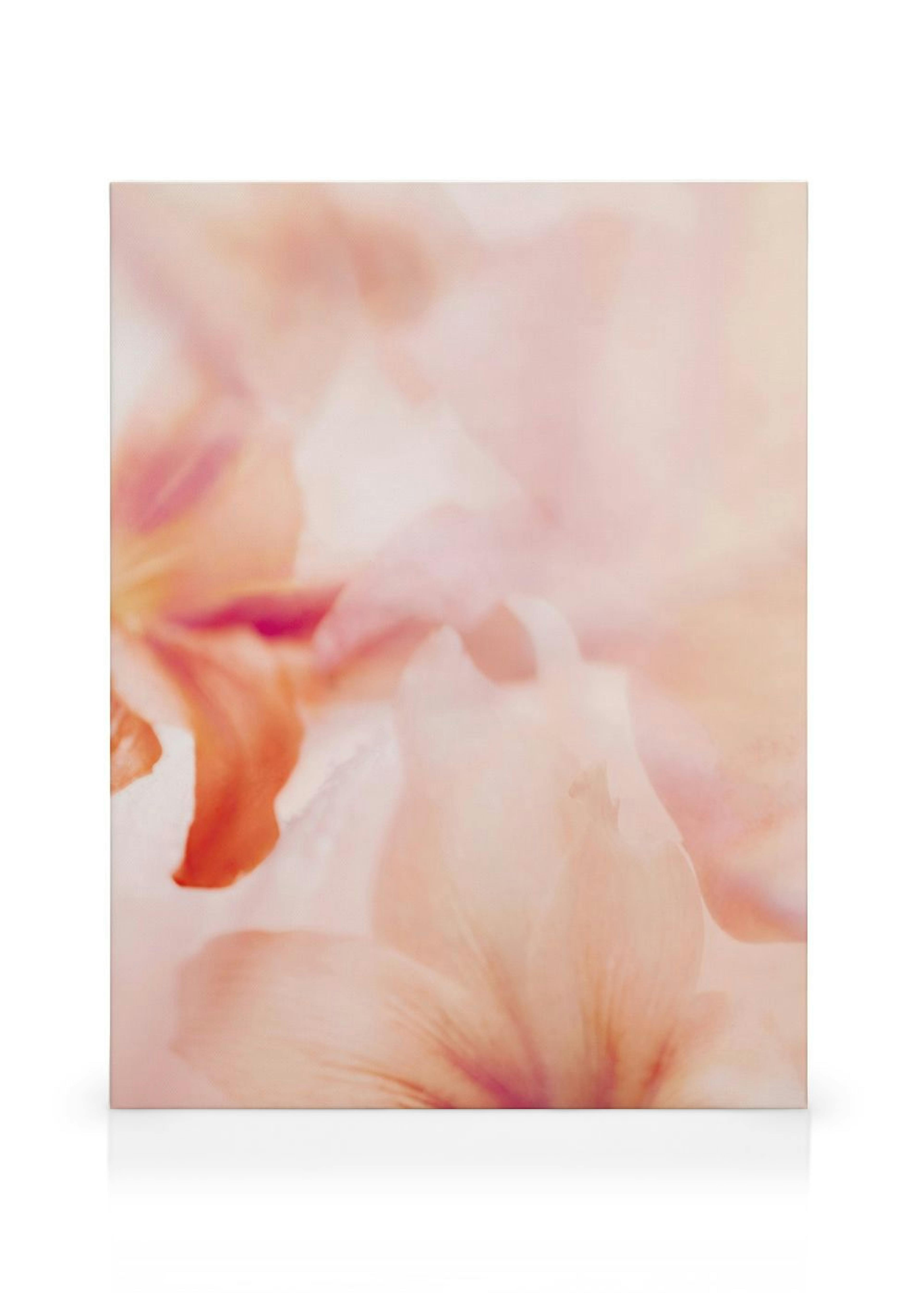 Product image: 1