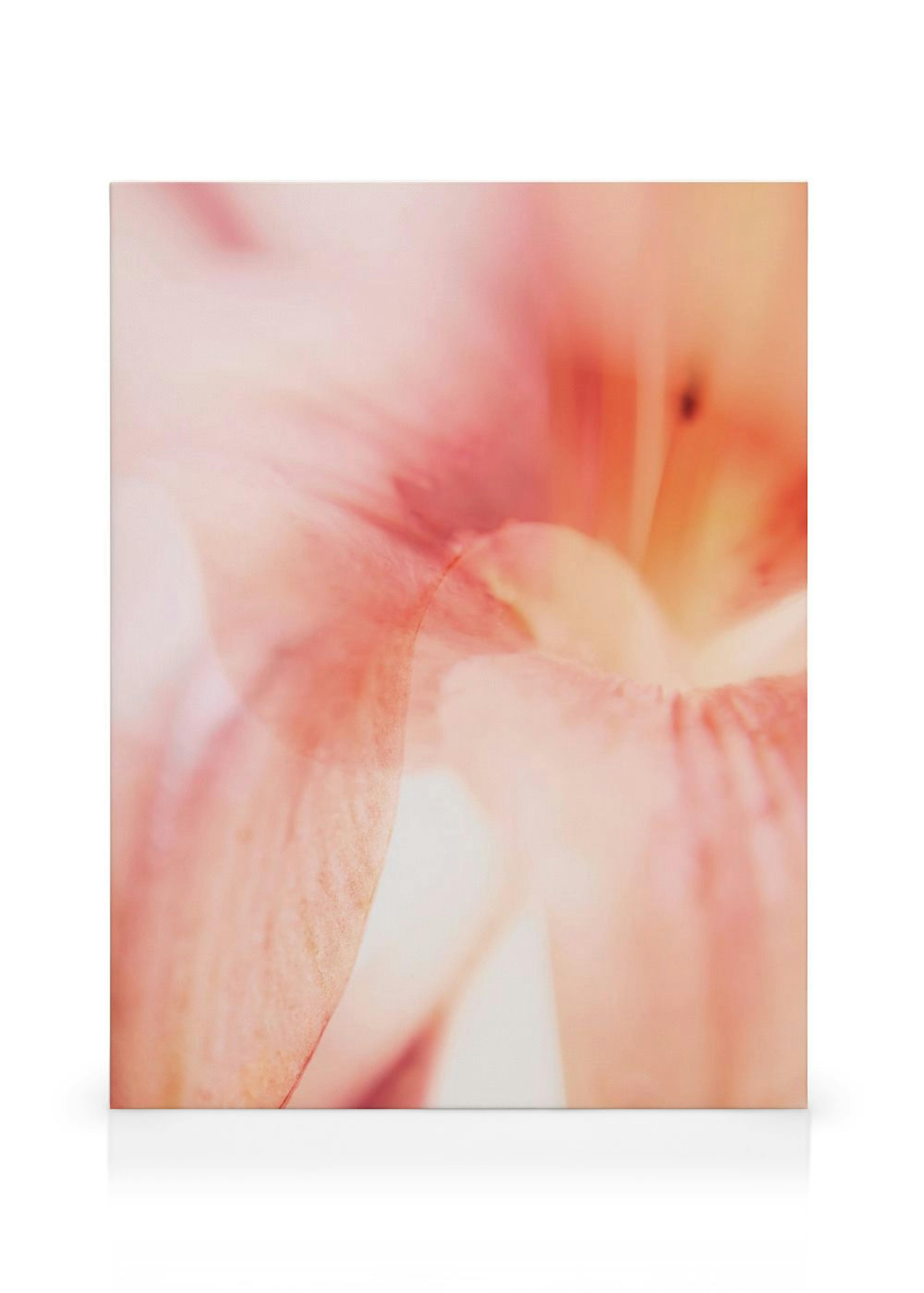 Product image: 1
