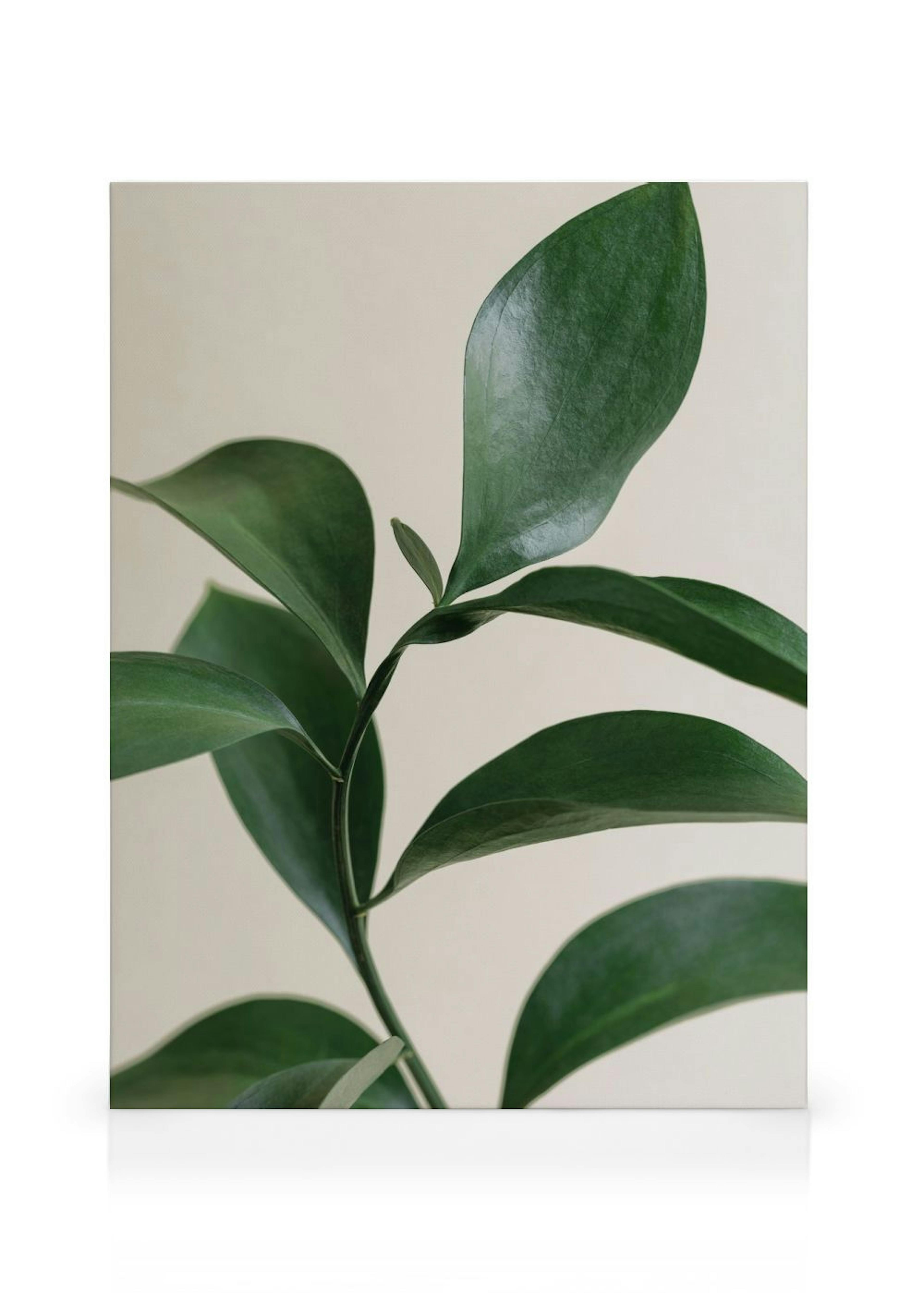 Product image: 1