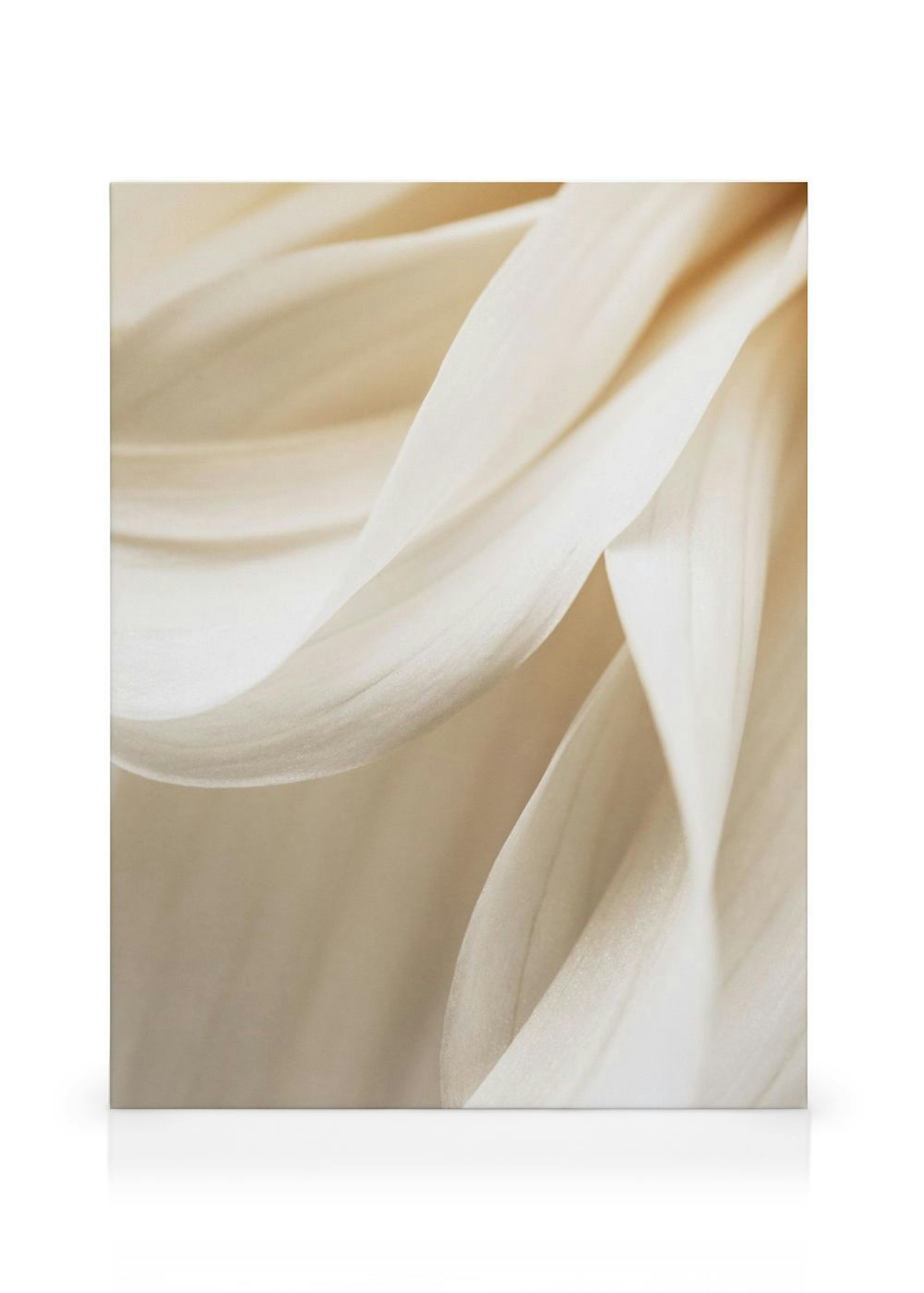 Product image: 1