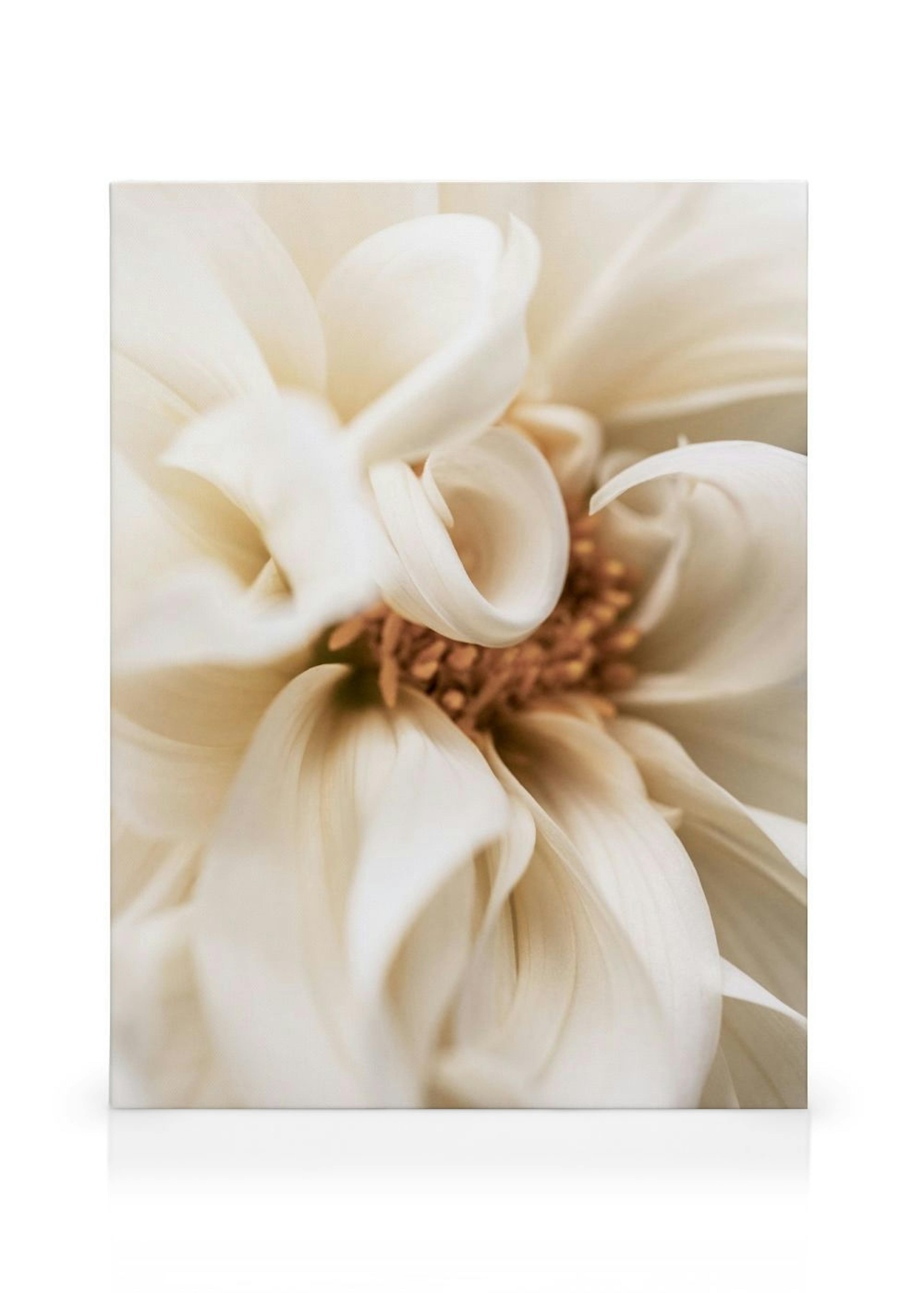 Product image: 1