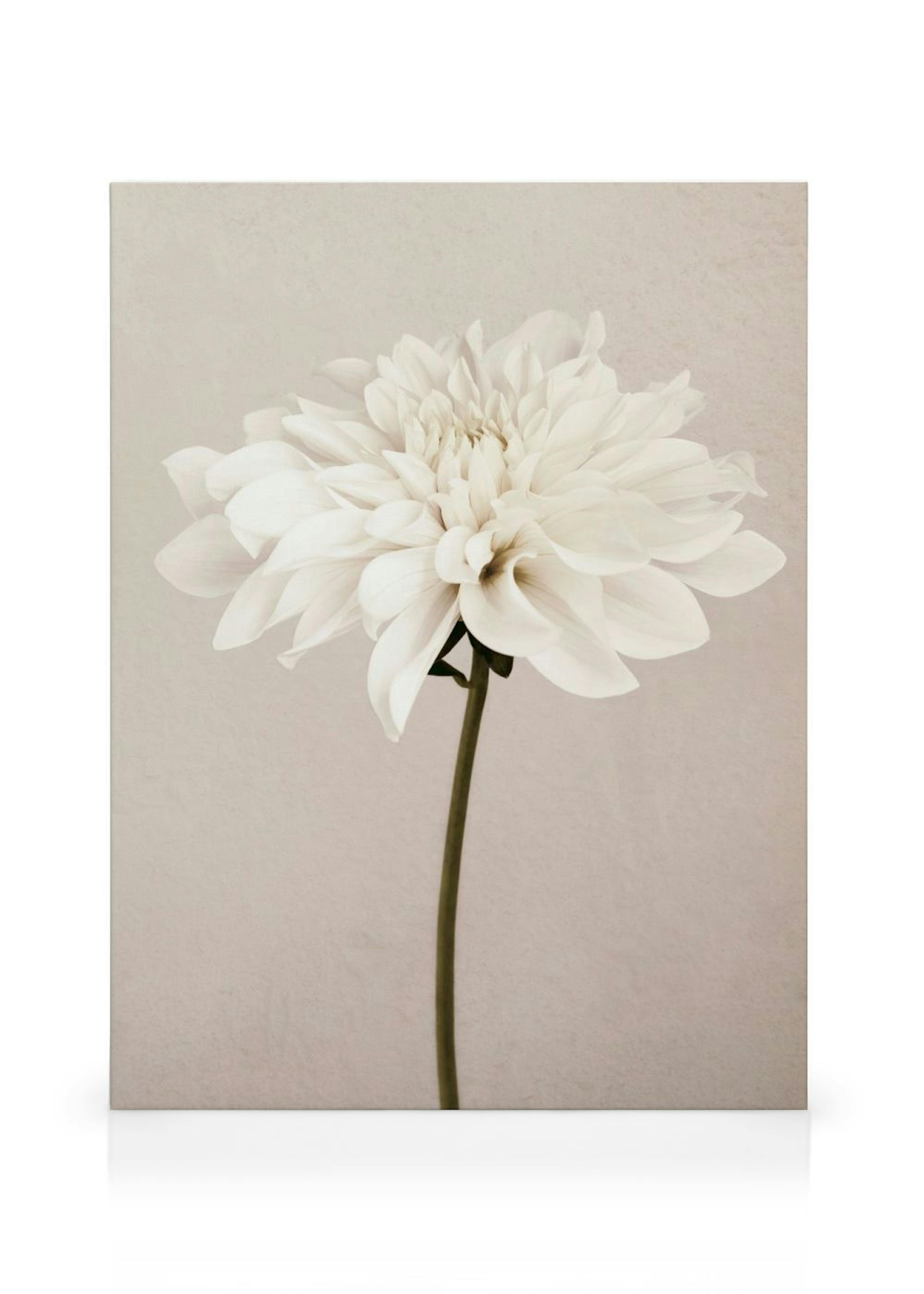 Product image: 1