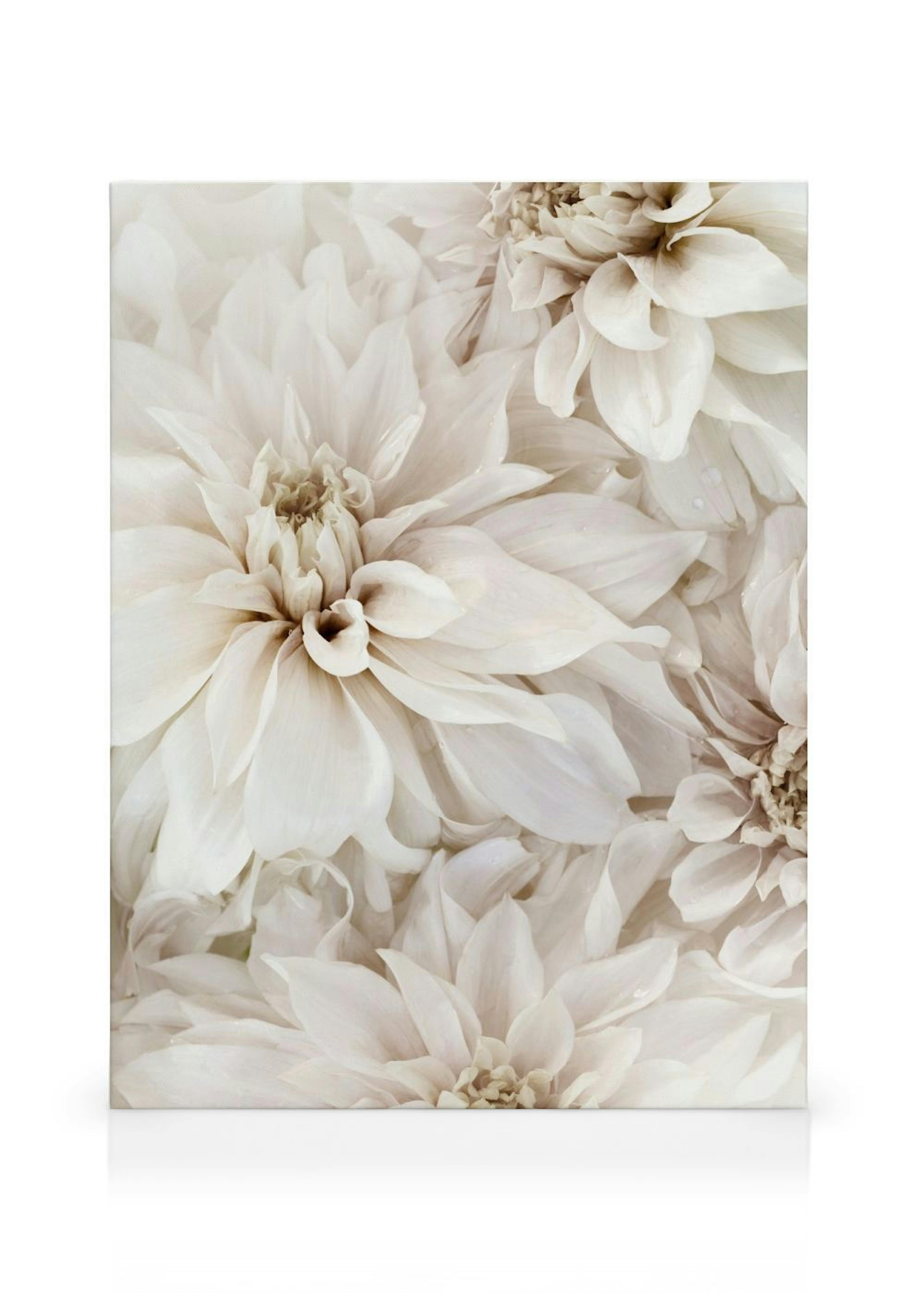 White Blossom No2 Canvas print