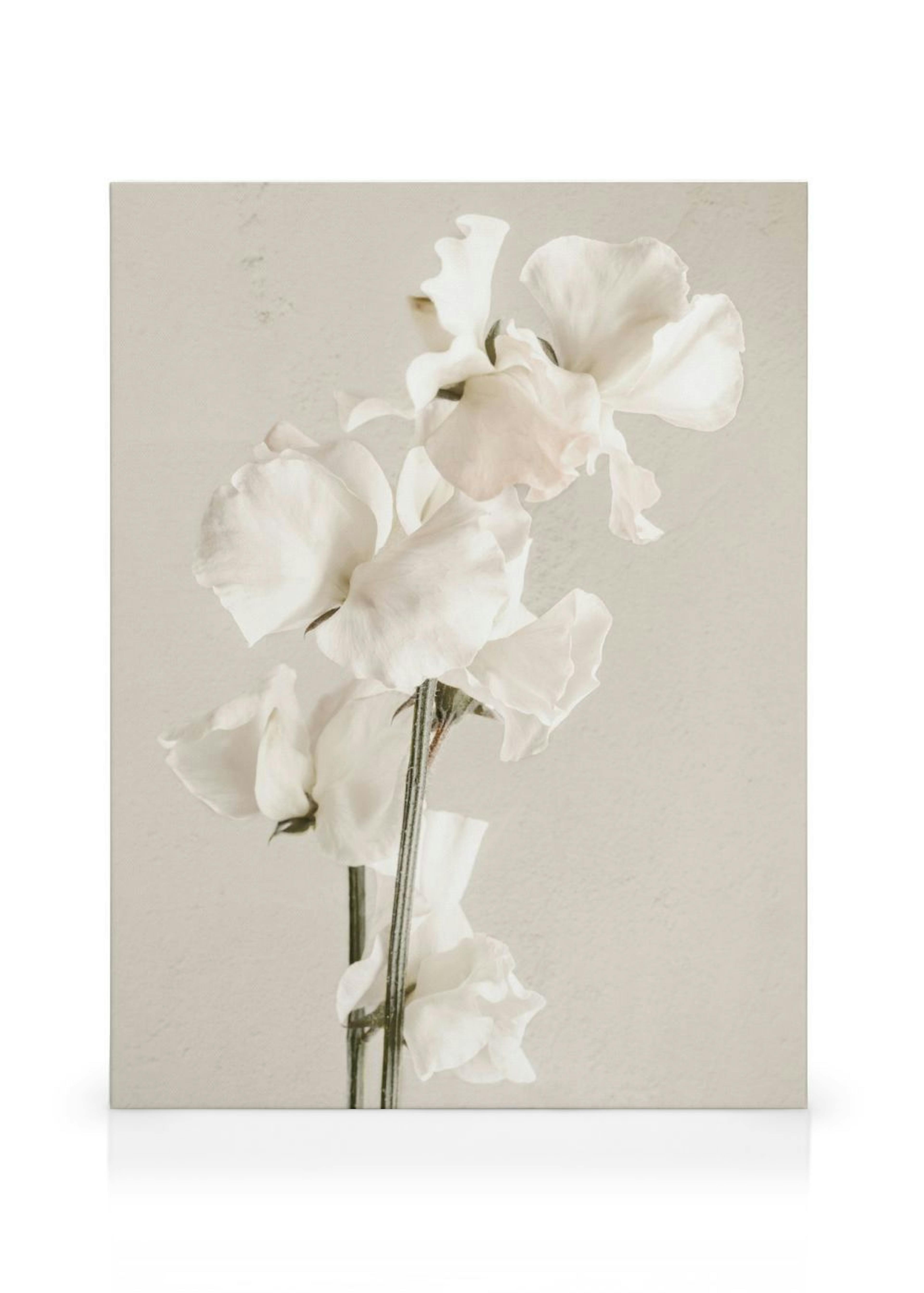 Product image: 1