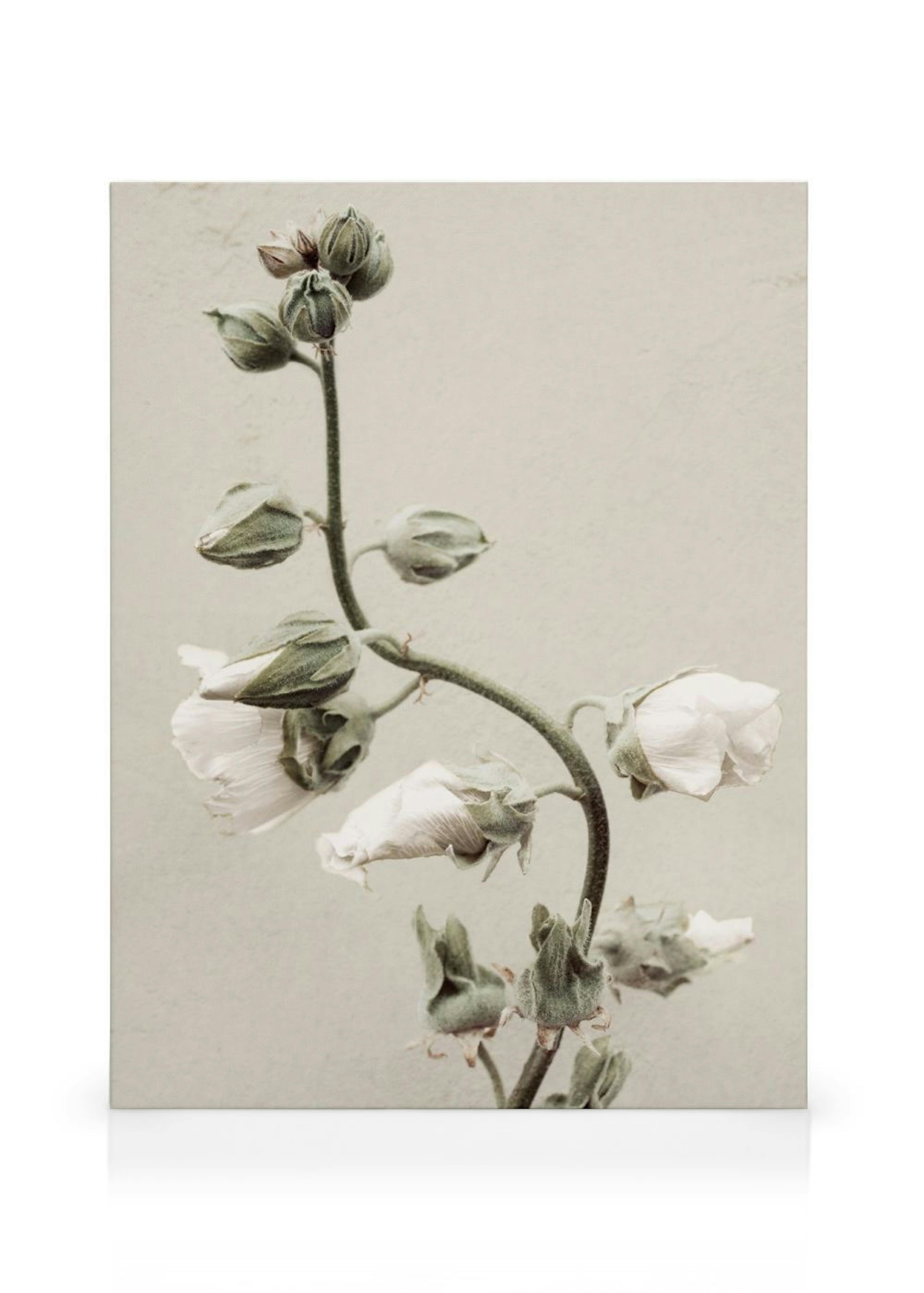 Product image: 1