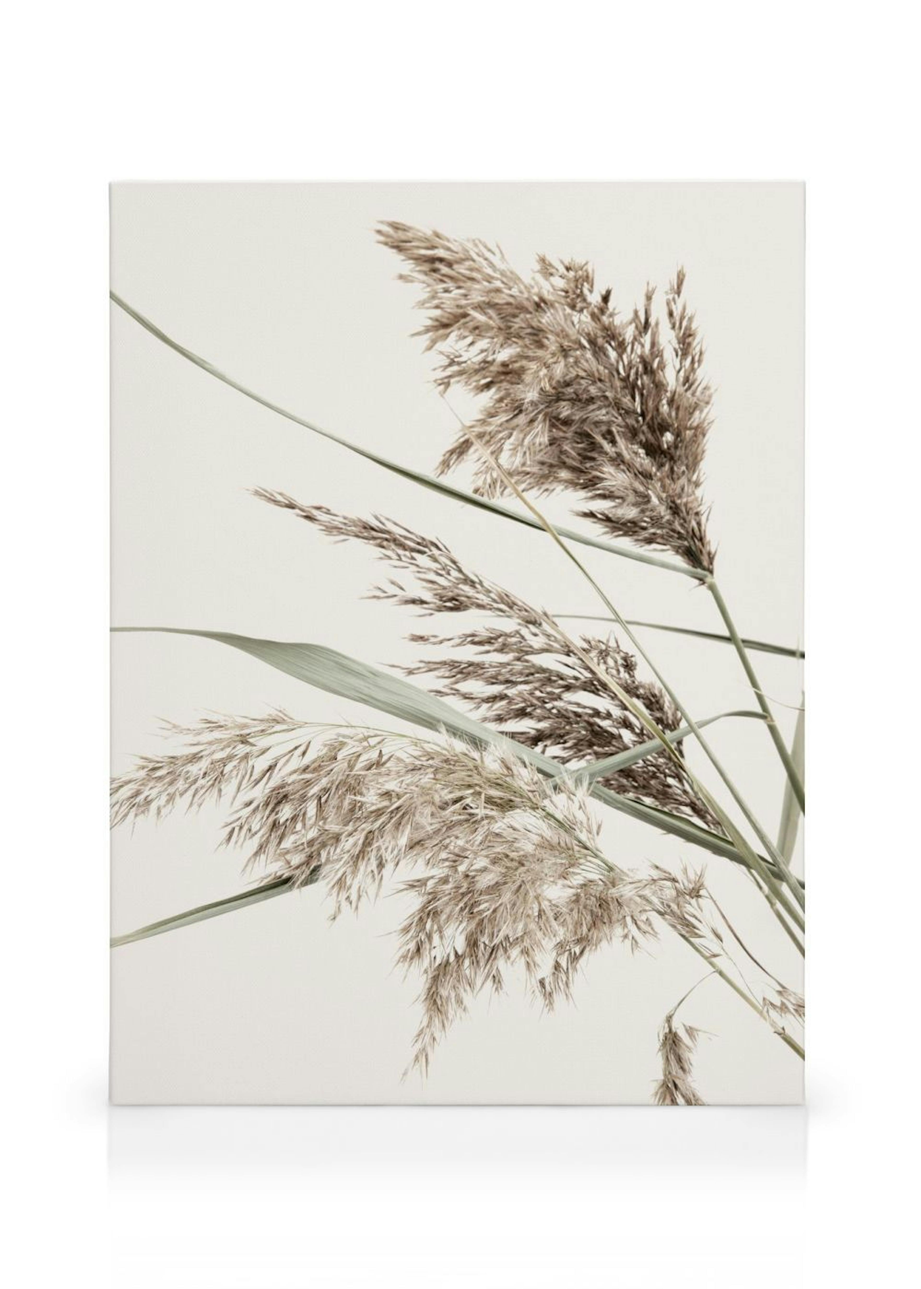 Product image: 1