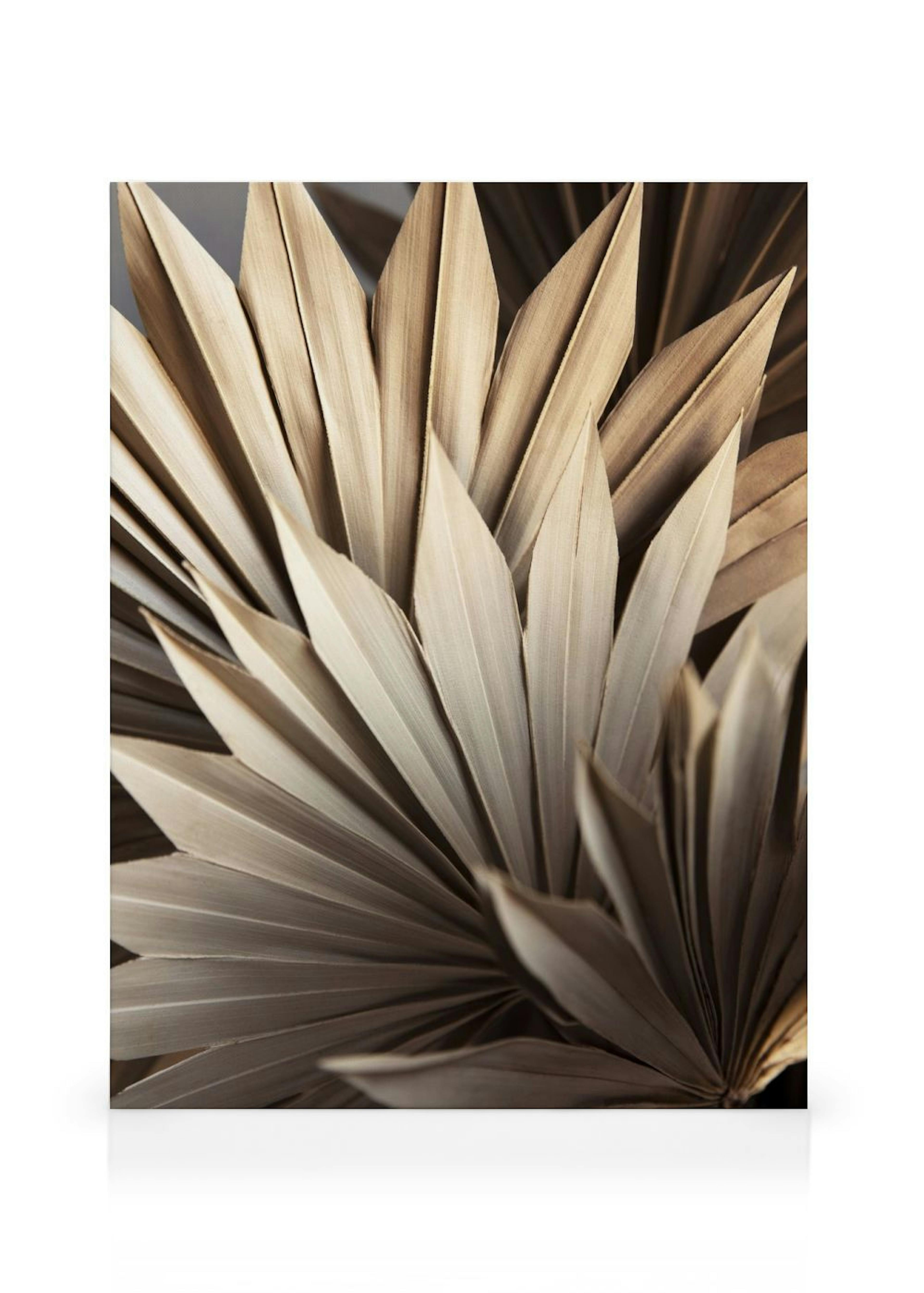 Product image: 1