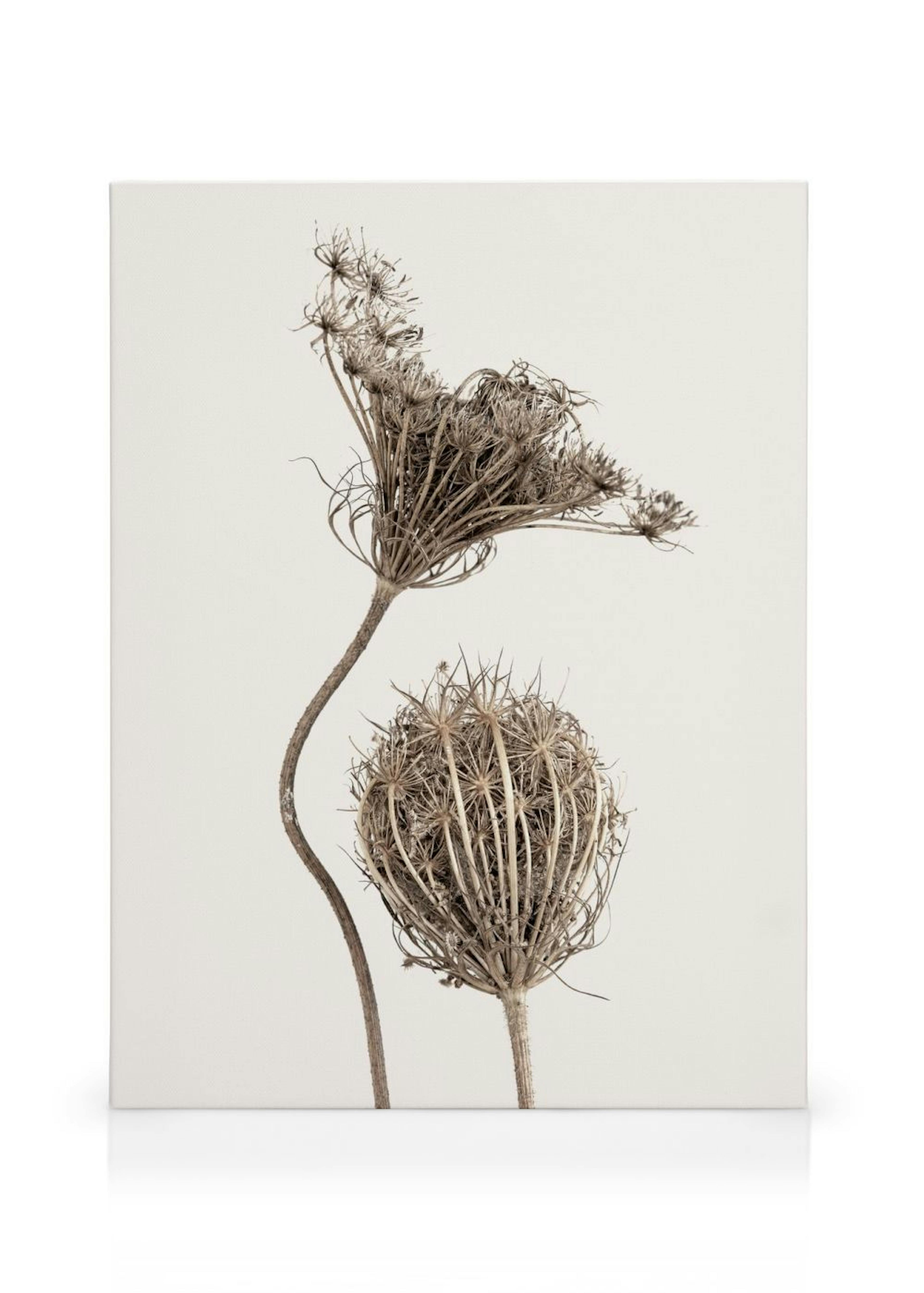 Product image: 1