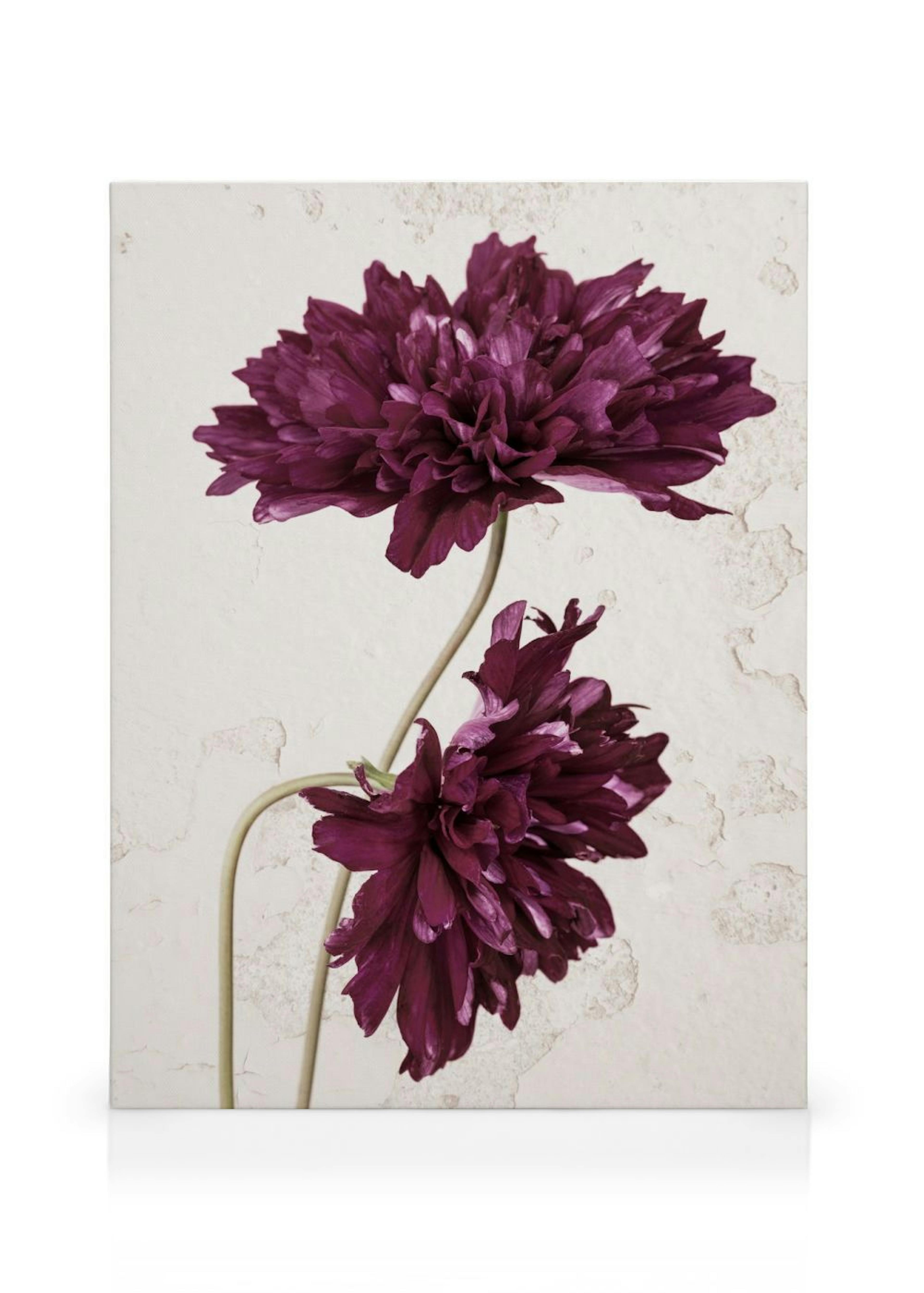 Product image: 1