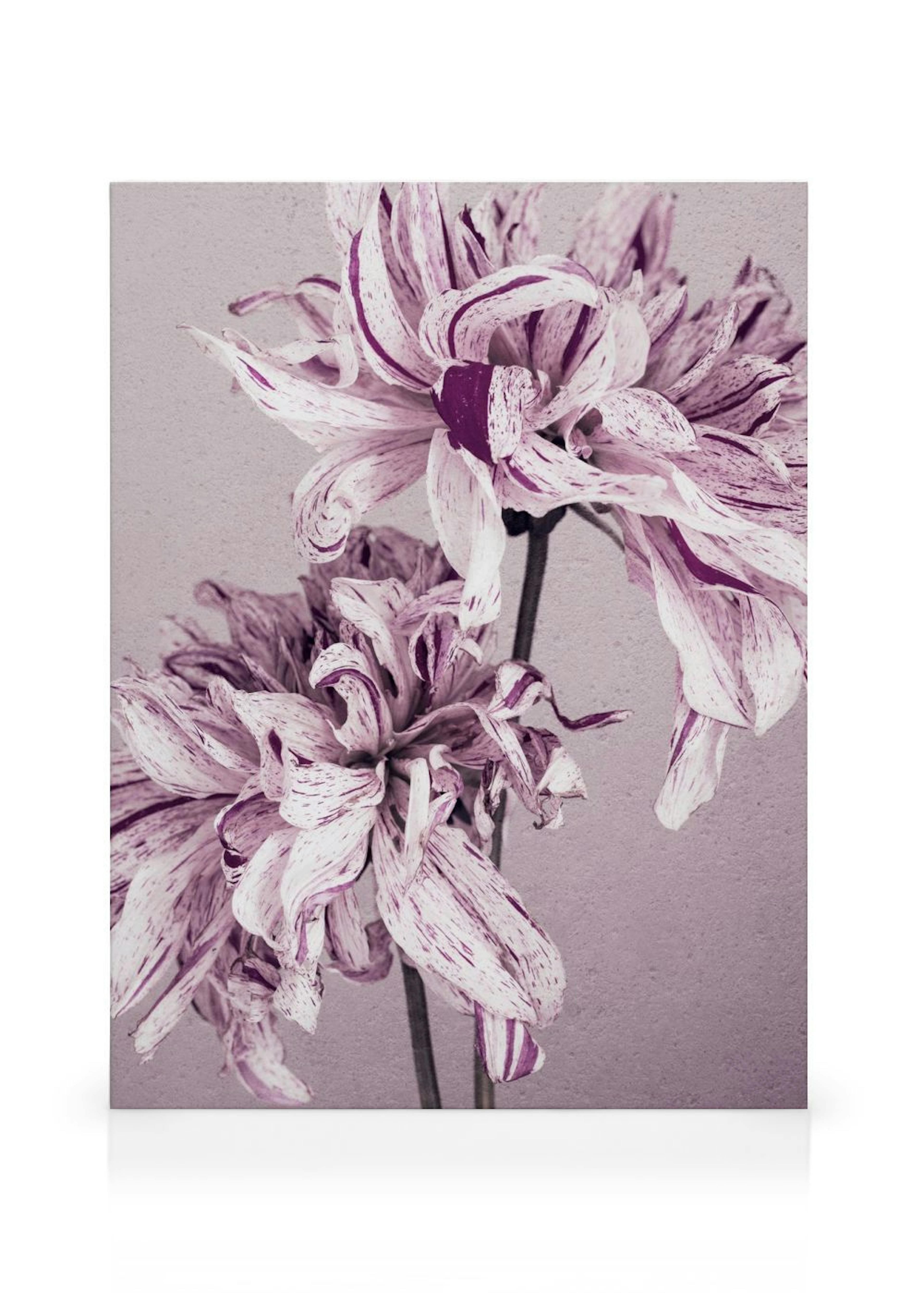 Product image: 1