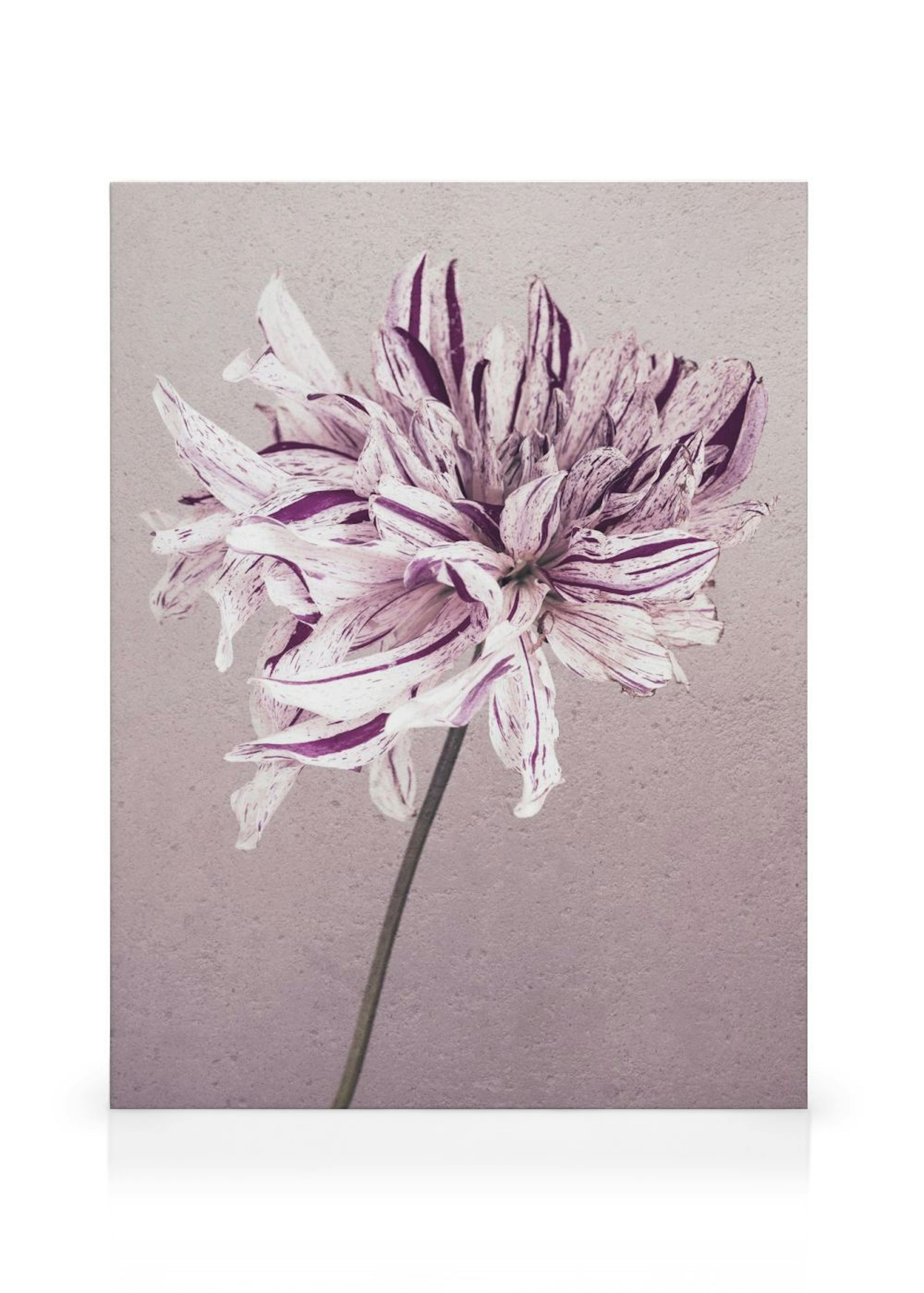 Product image: 1