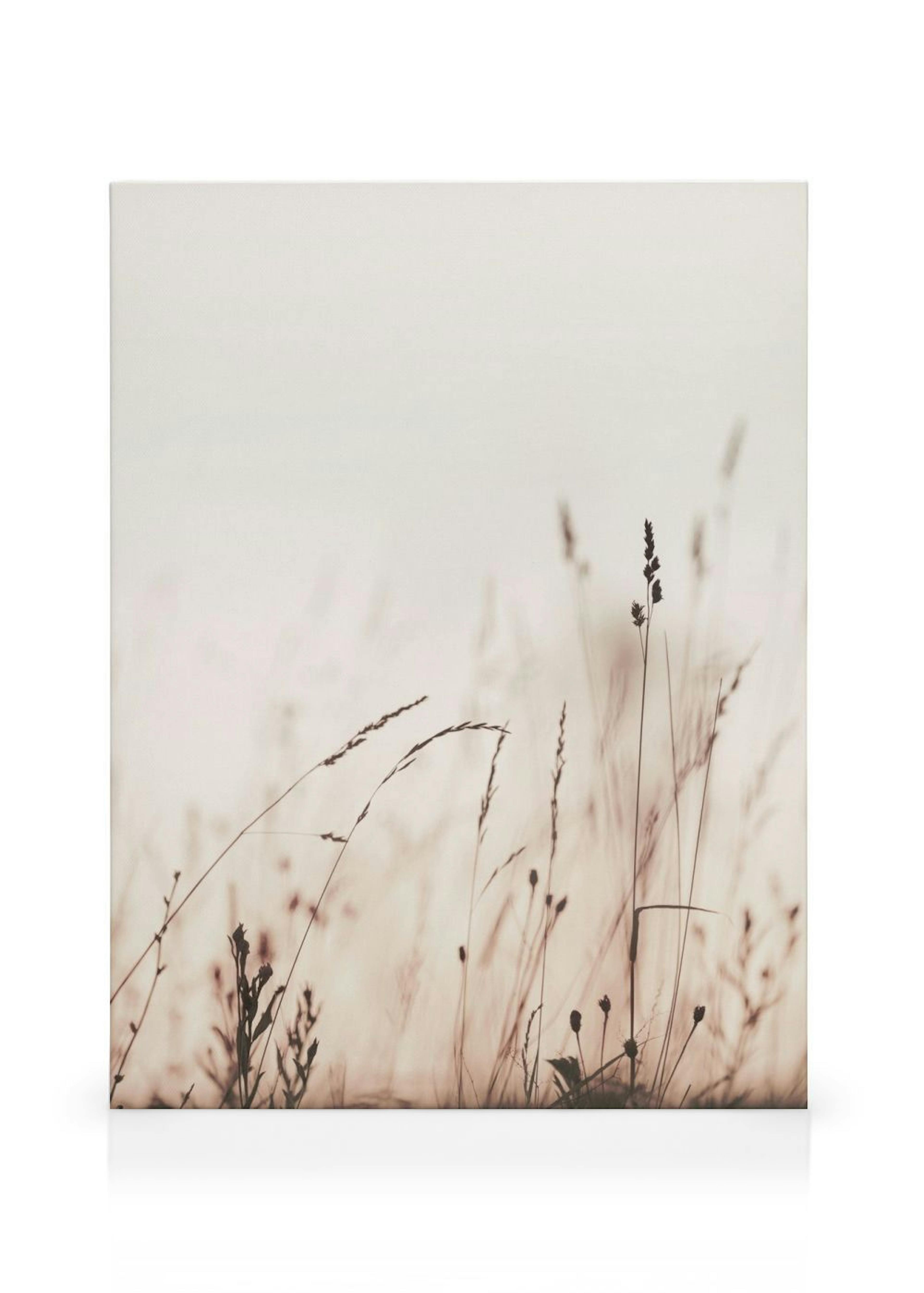 Product image: 1