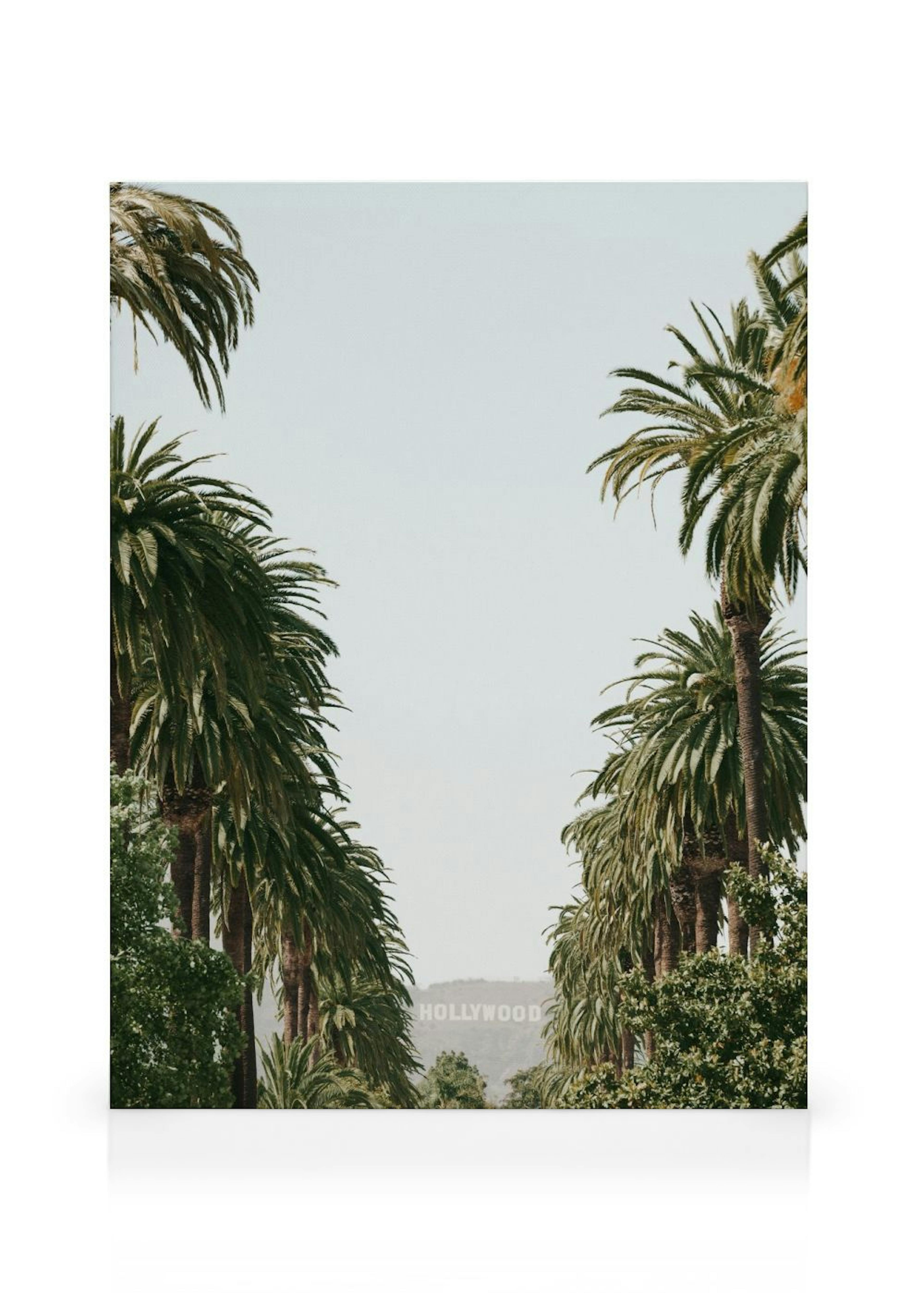 Iconic Hollywood Alley Canvas print