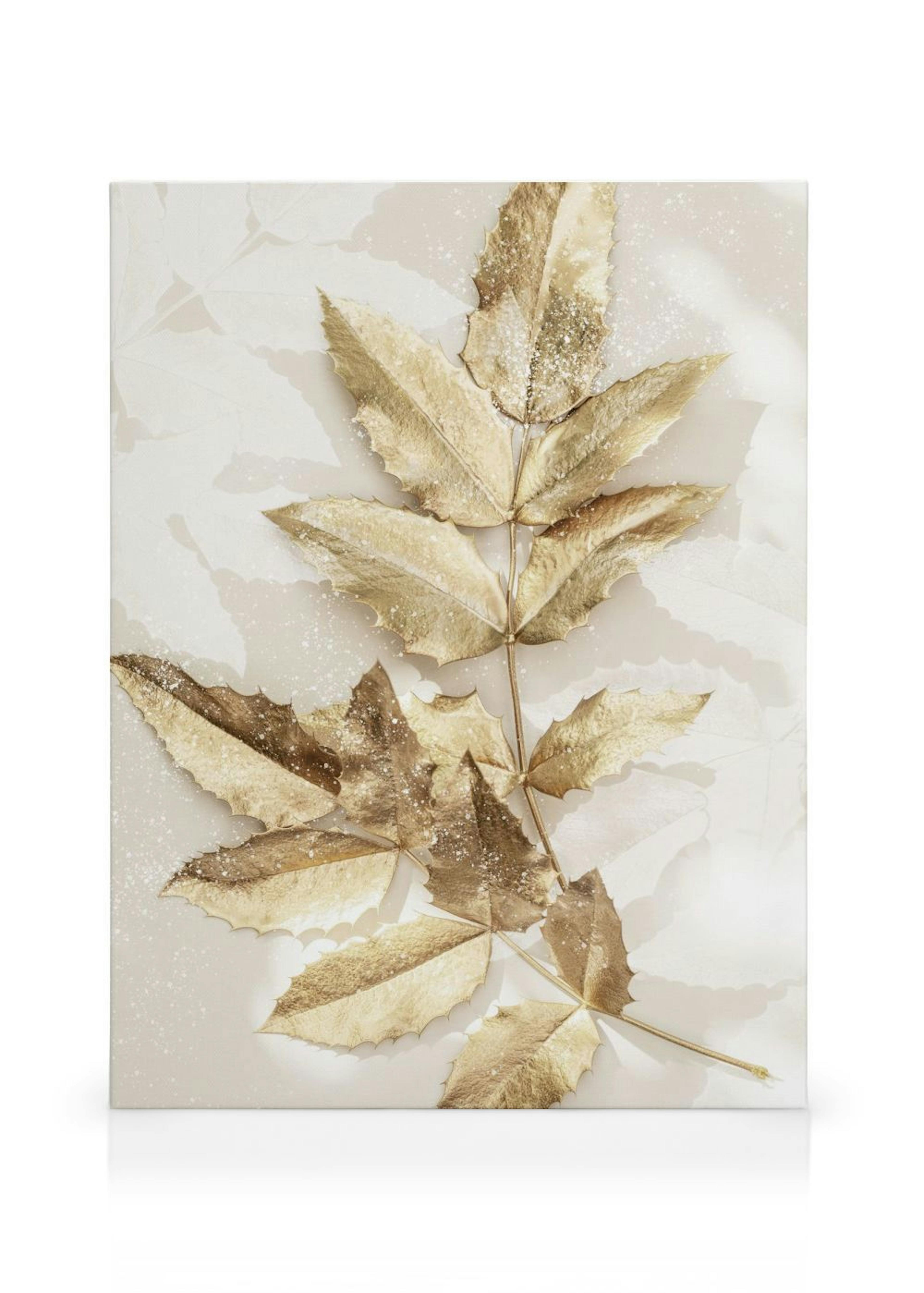 Product image: 1