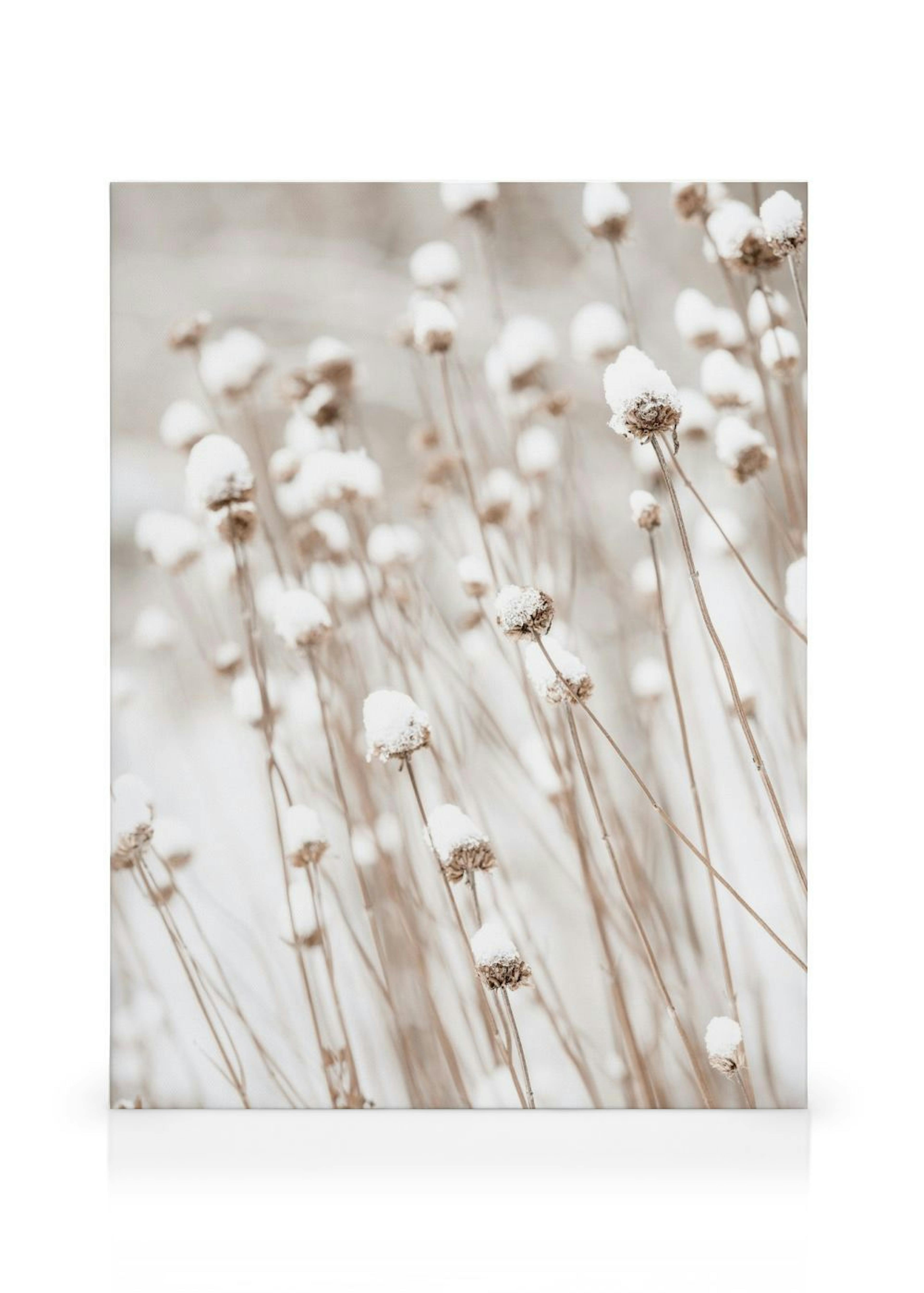 Product image: 1