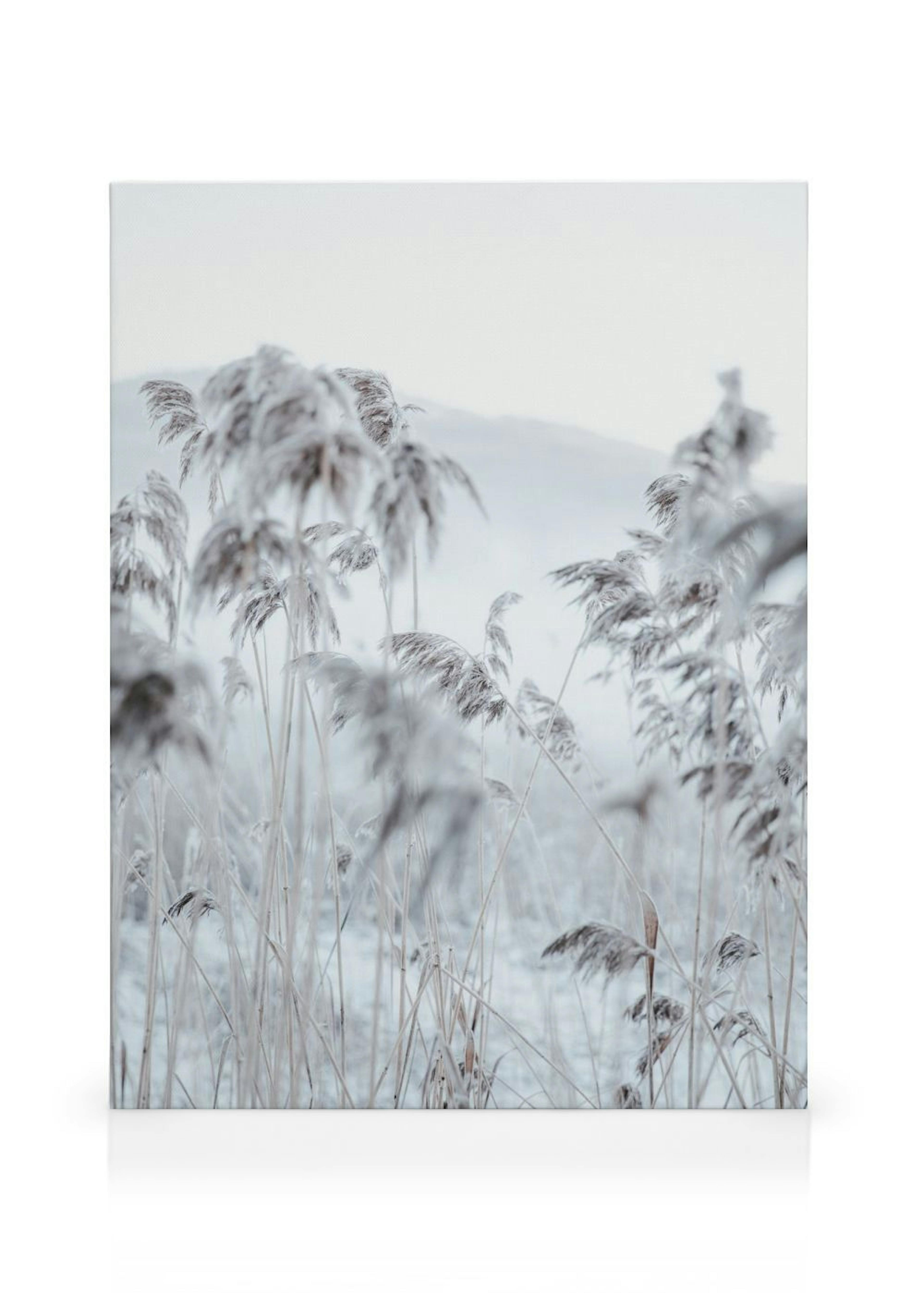 Product image: 1