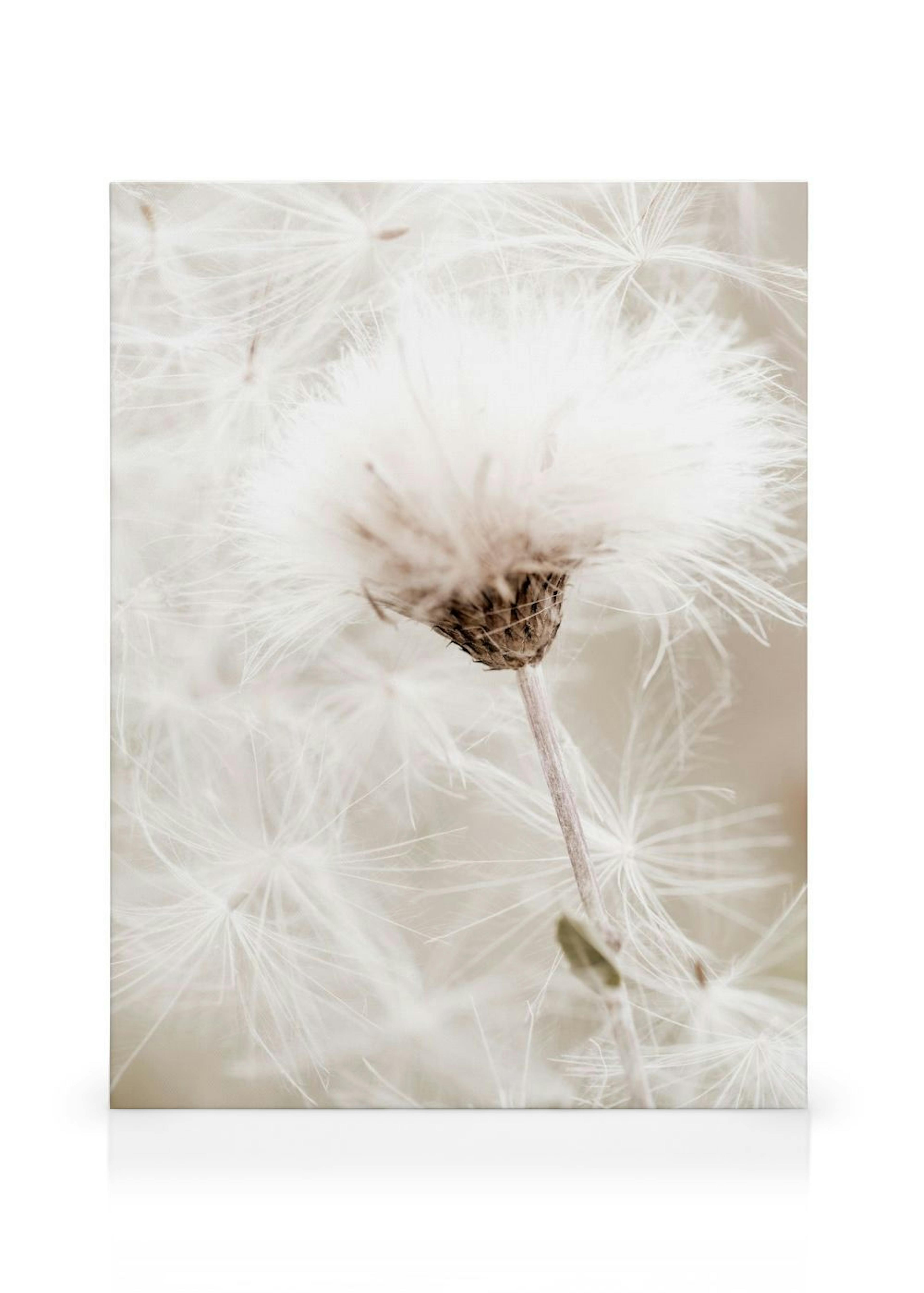 Product image: 1