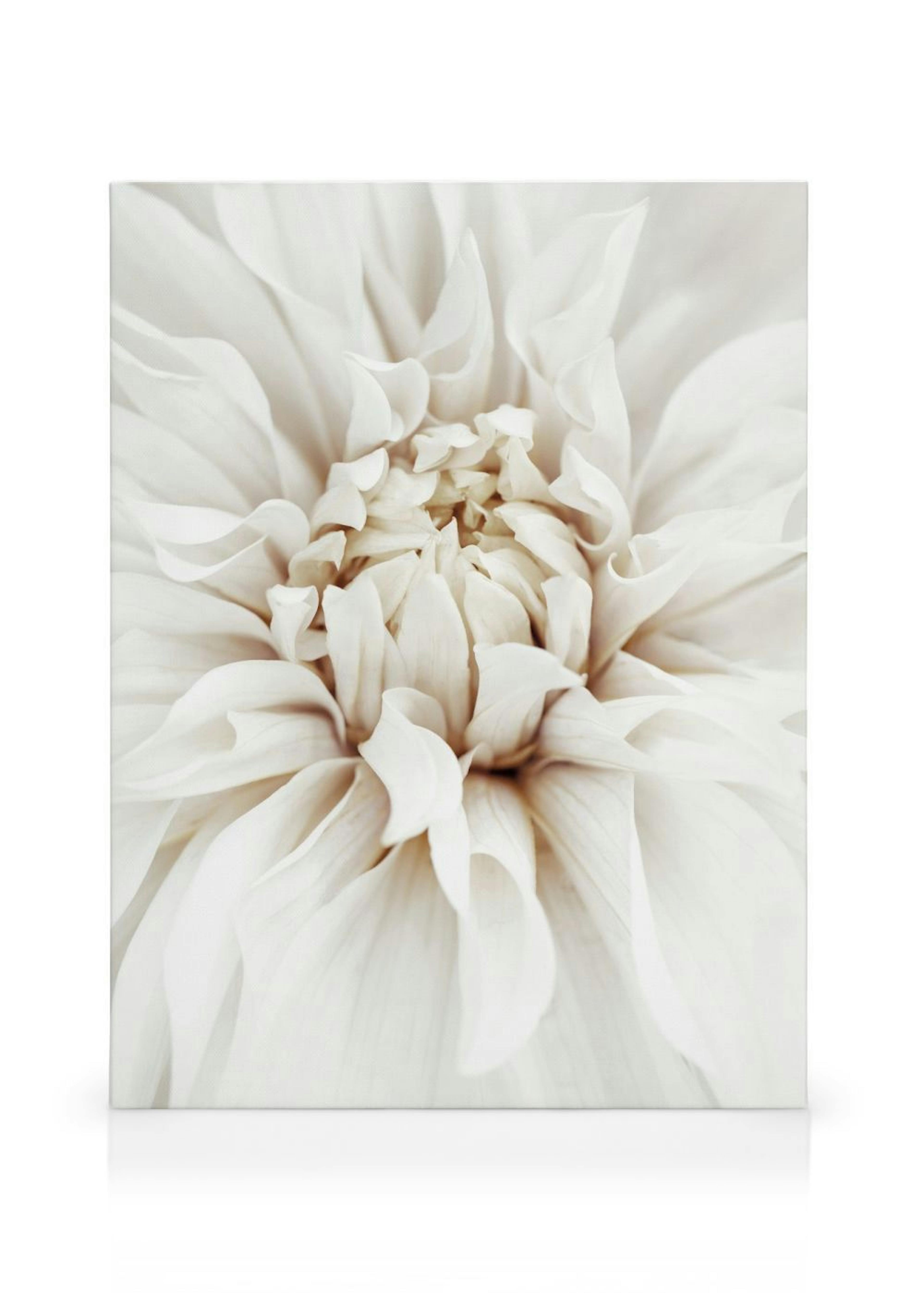 Product image: 1