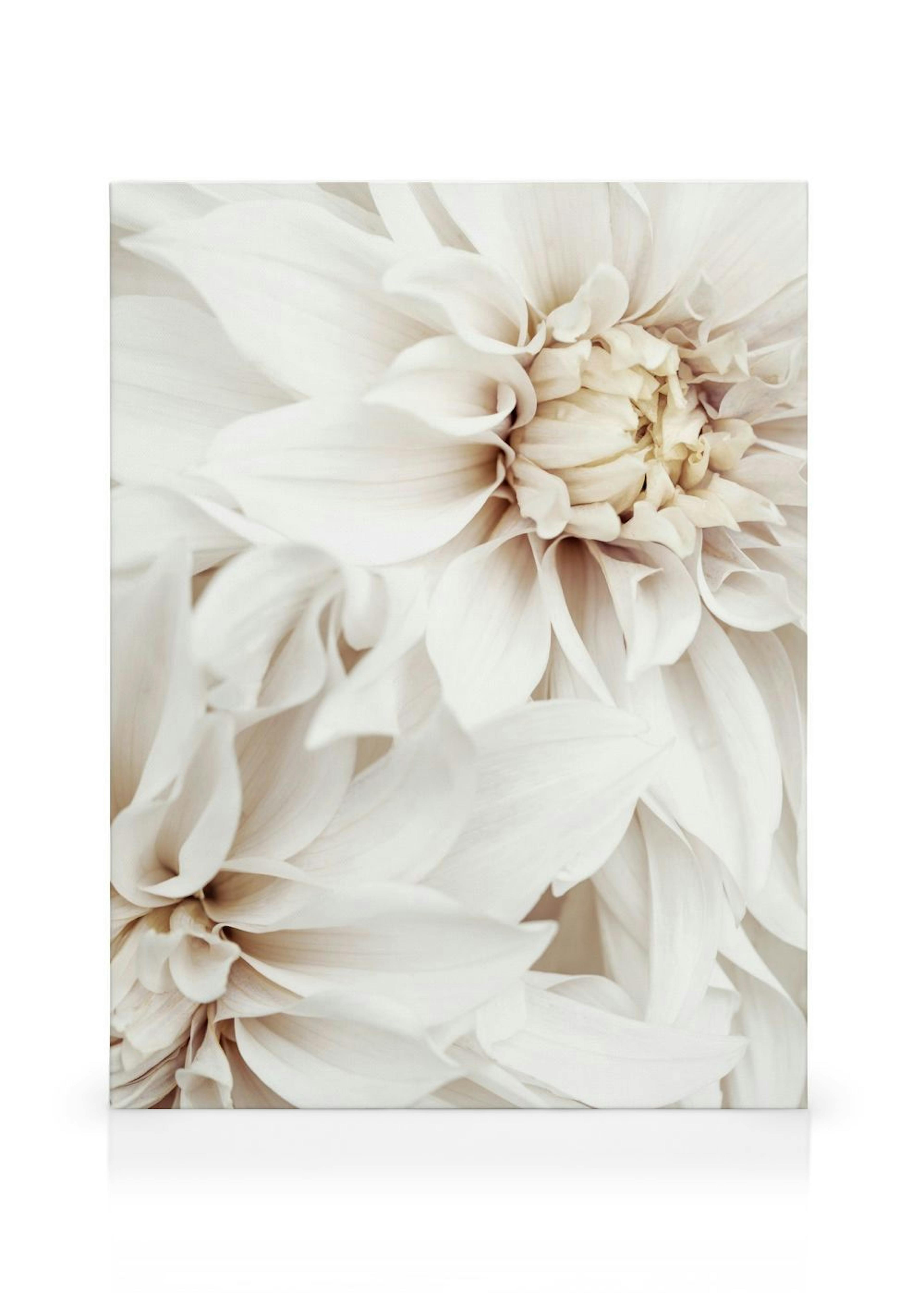 Product image: 1
