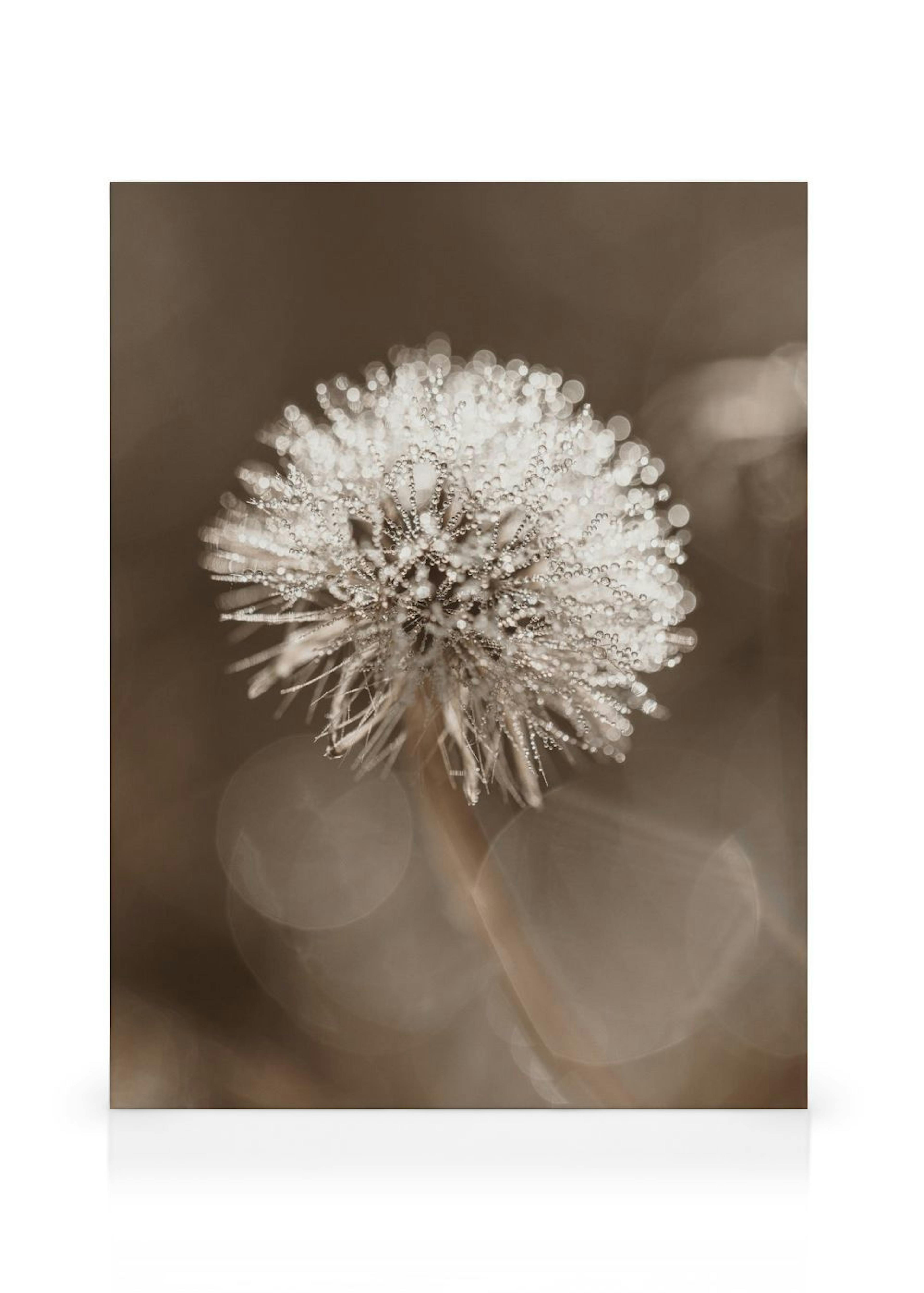 Product image: 1