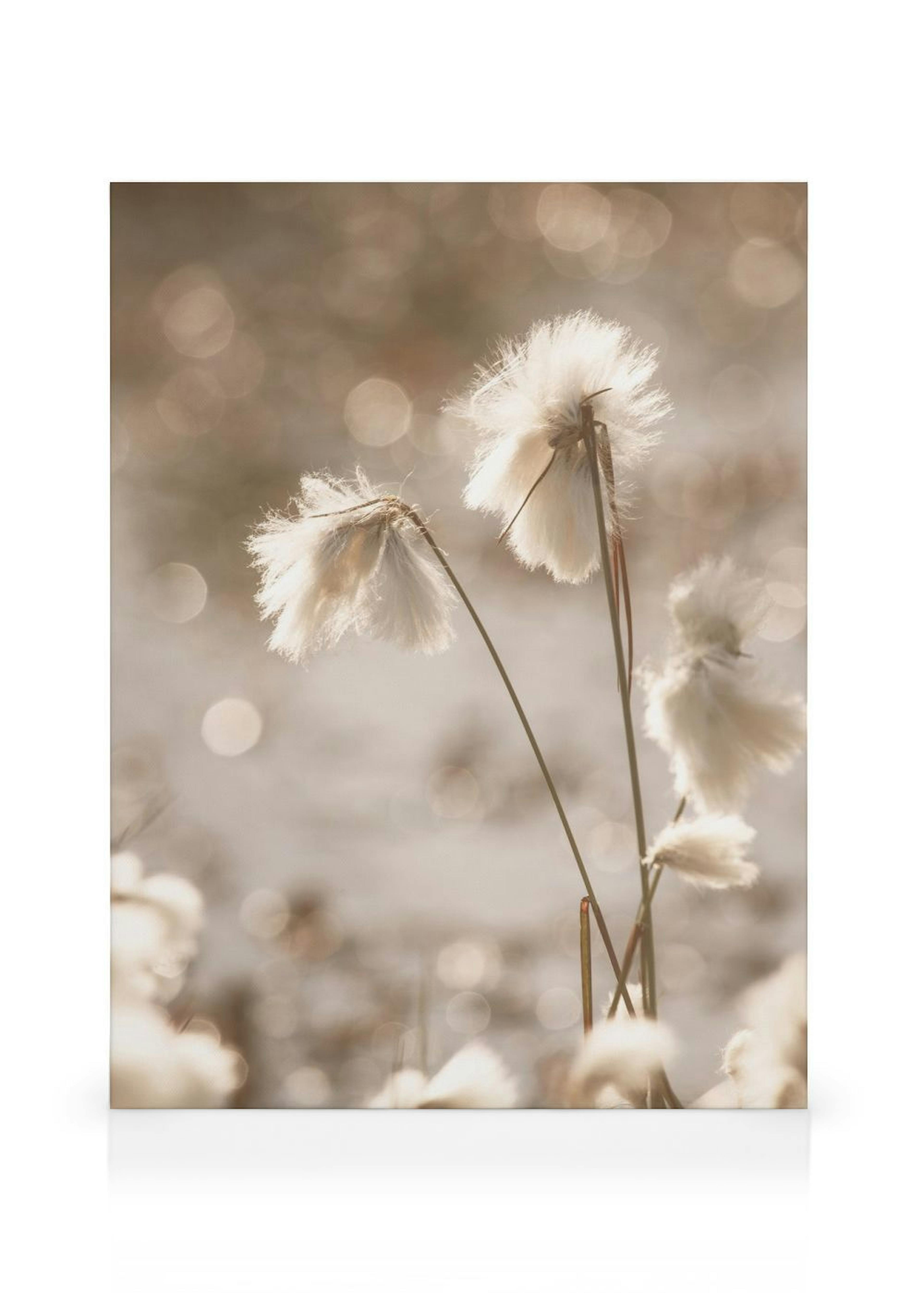 Product image: 1