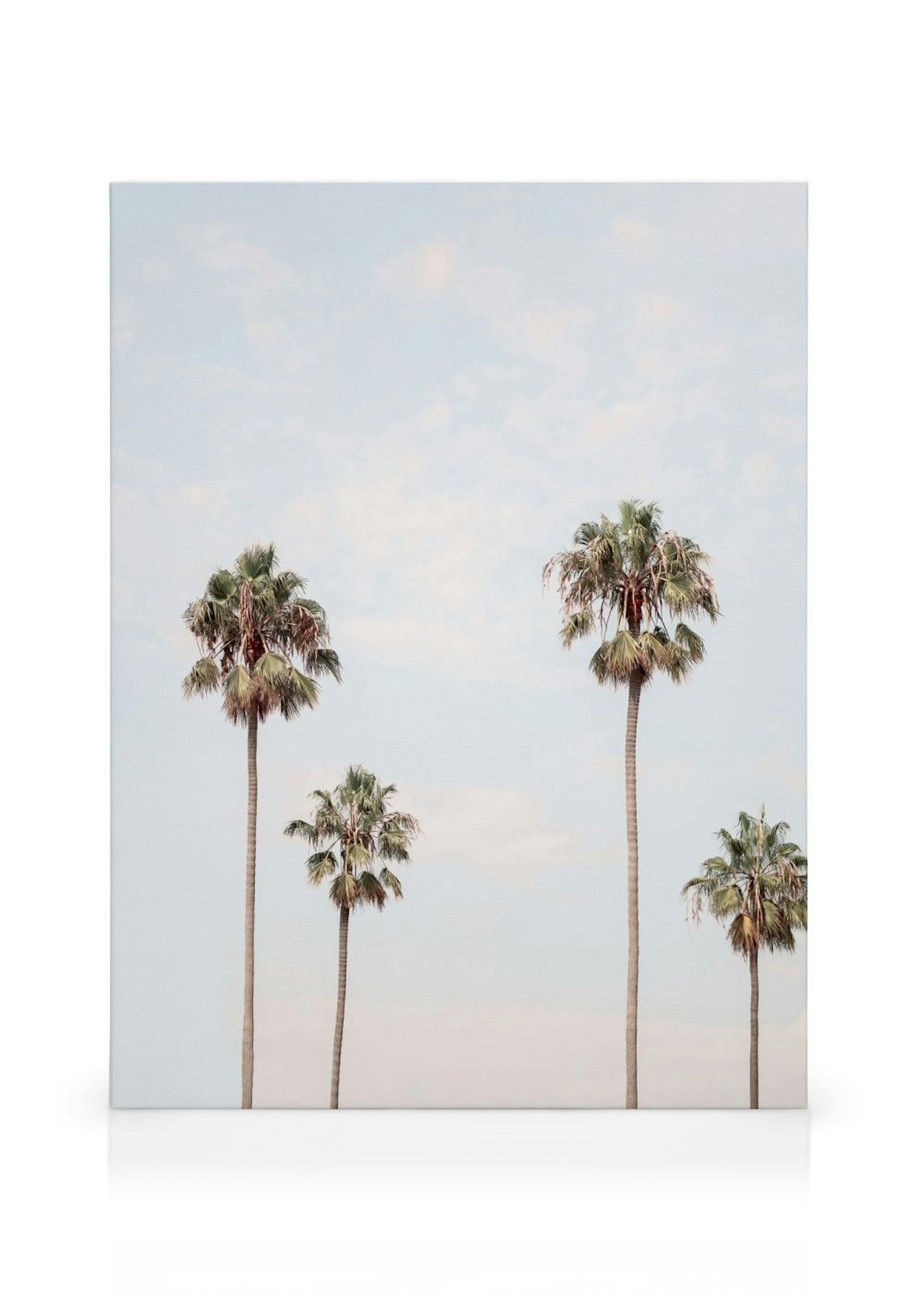 Product image: 1