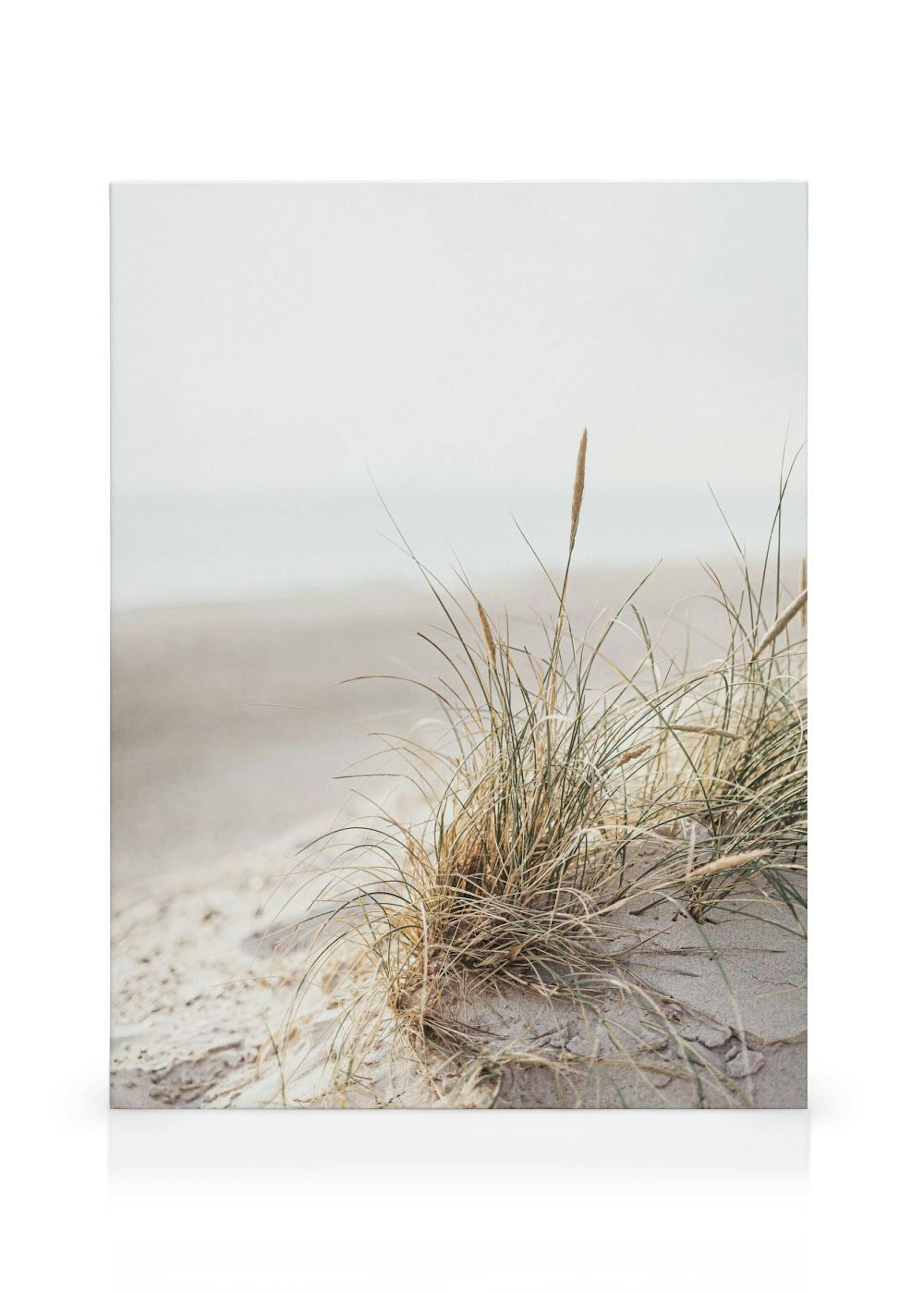 Product image: 1