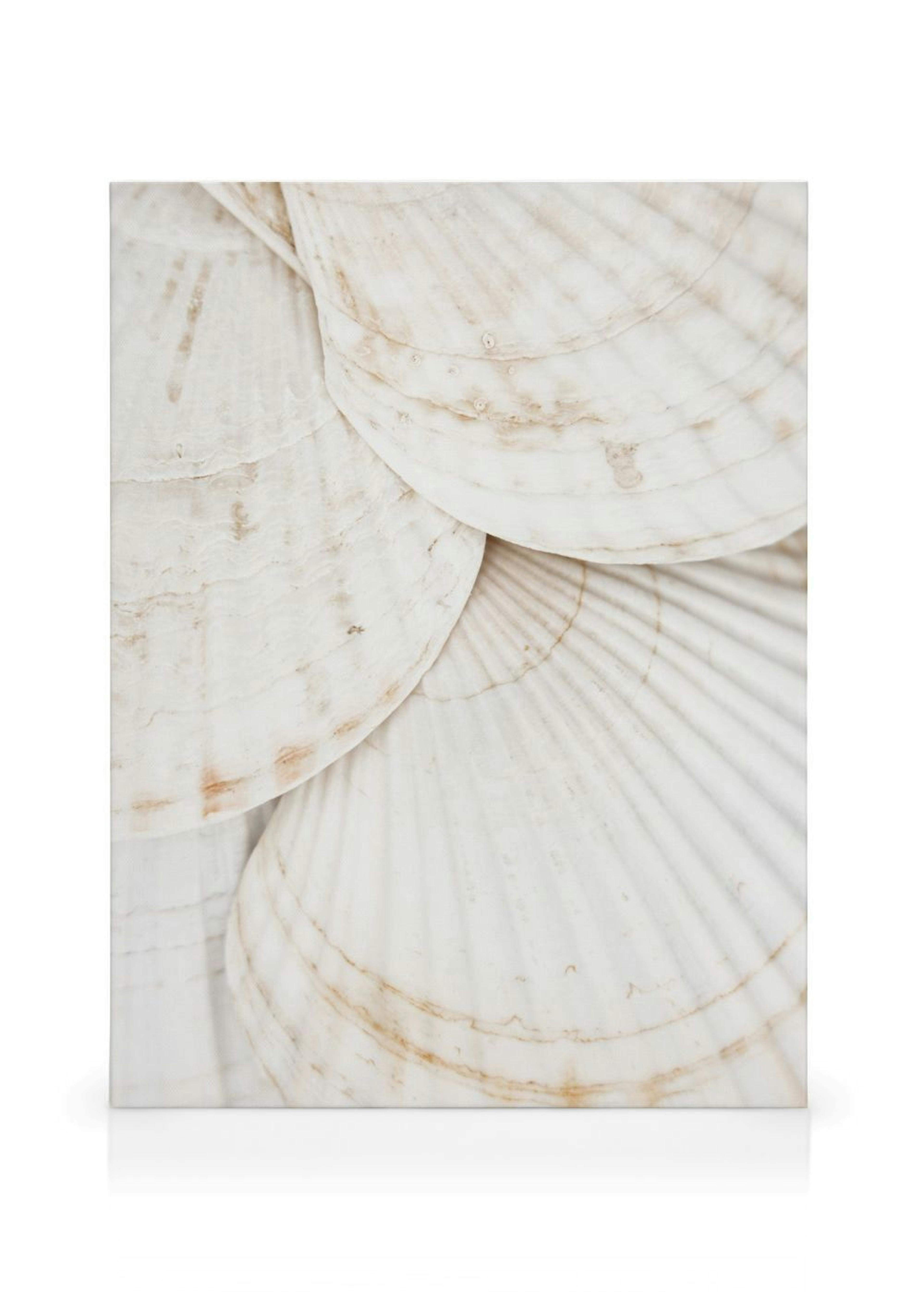 Product image: 1
