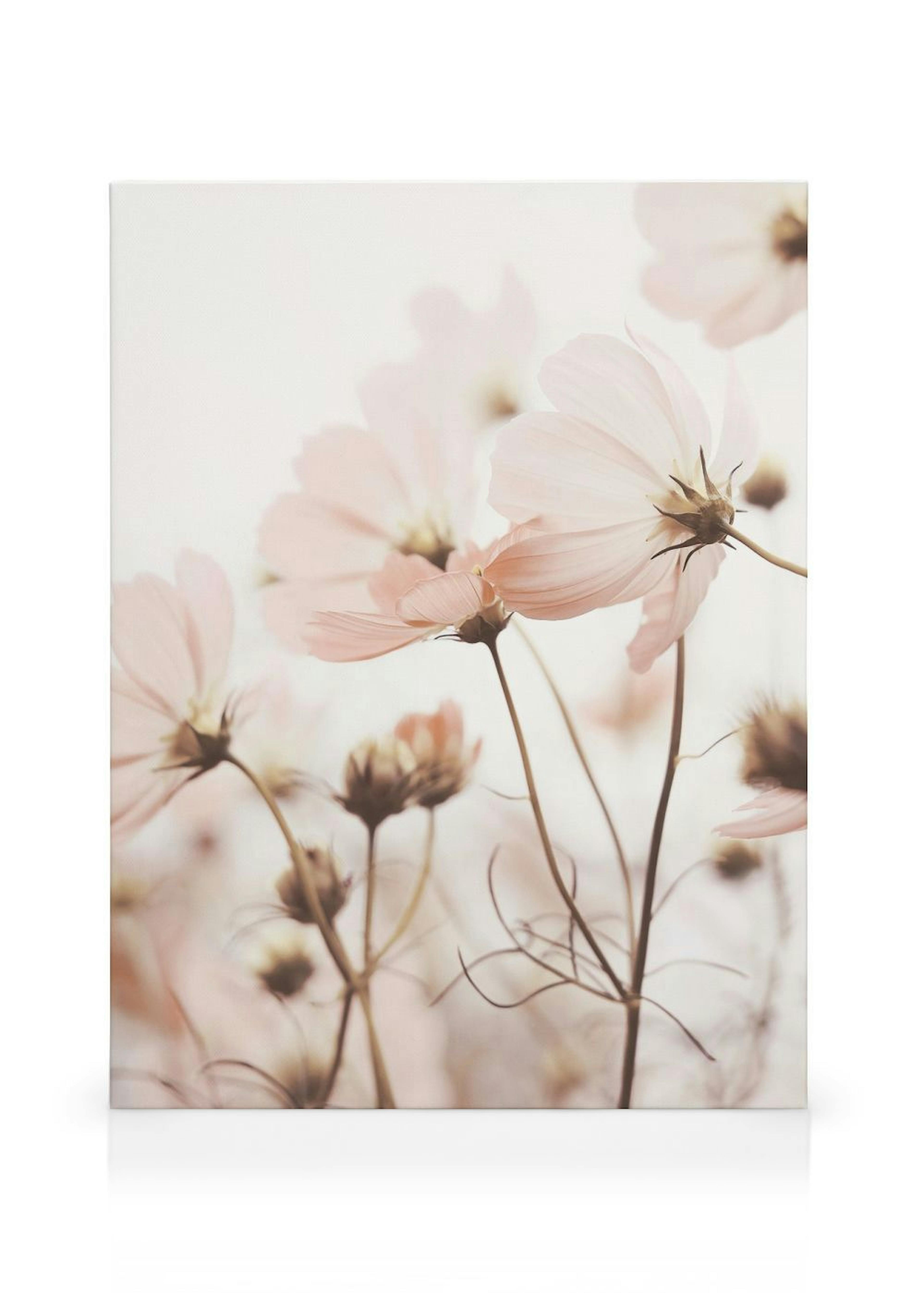 Product image: 1