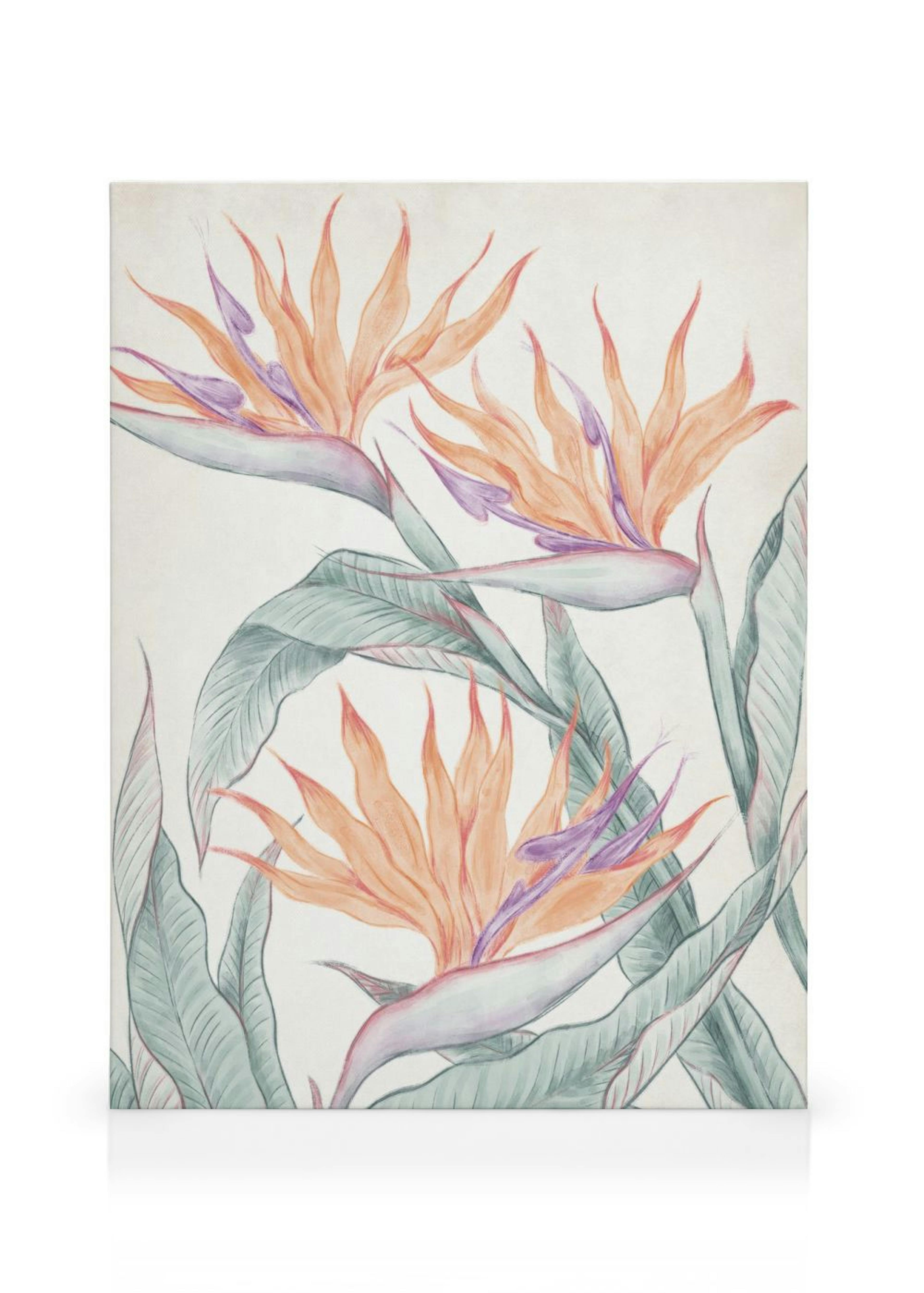 Birds of Paradise Painting Canvas print