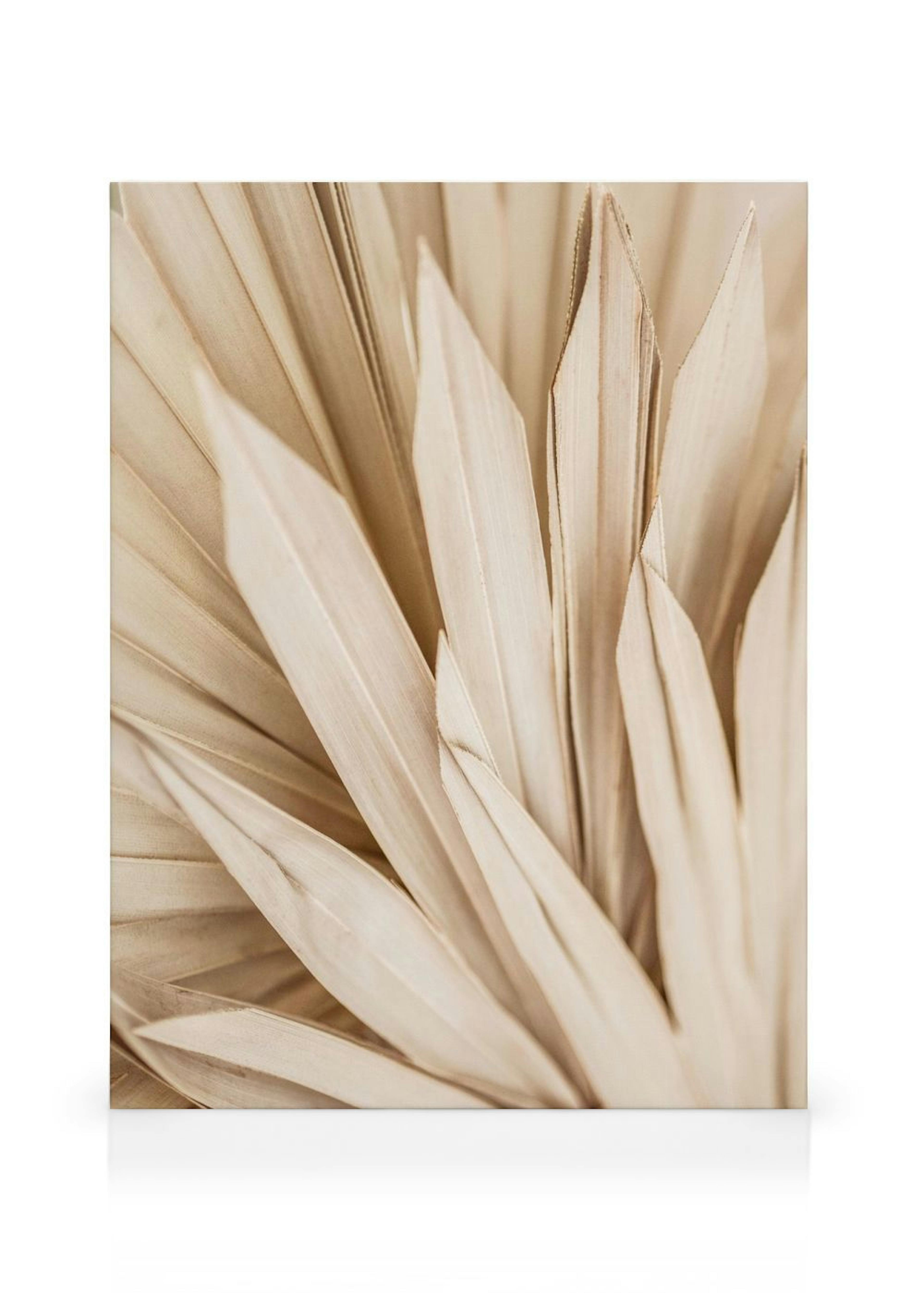 Product image: 1