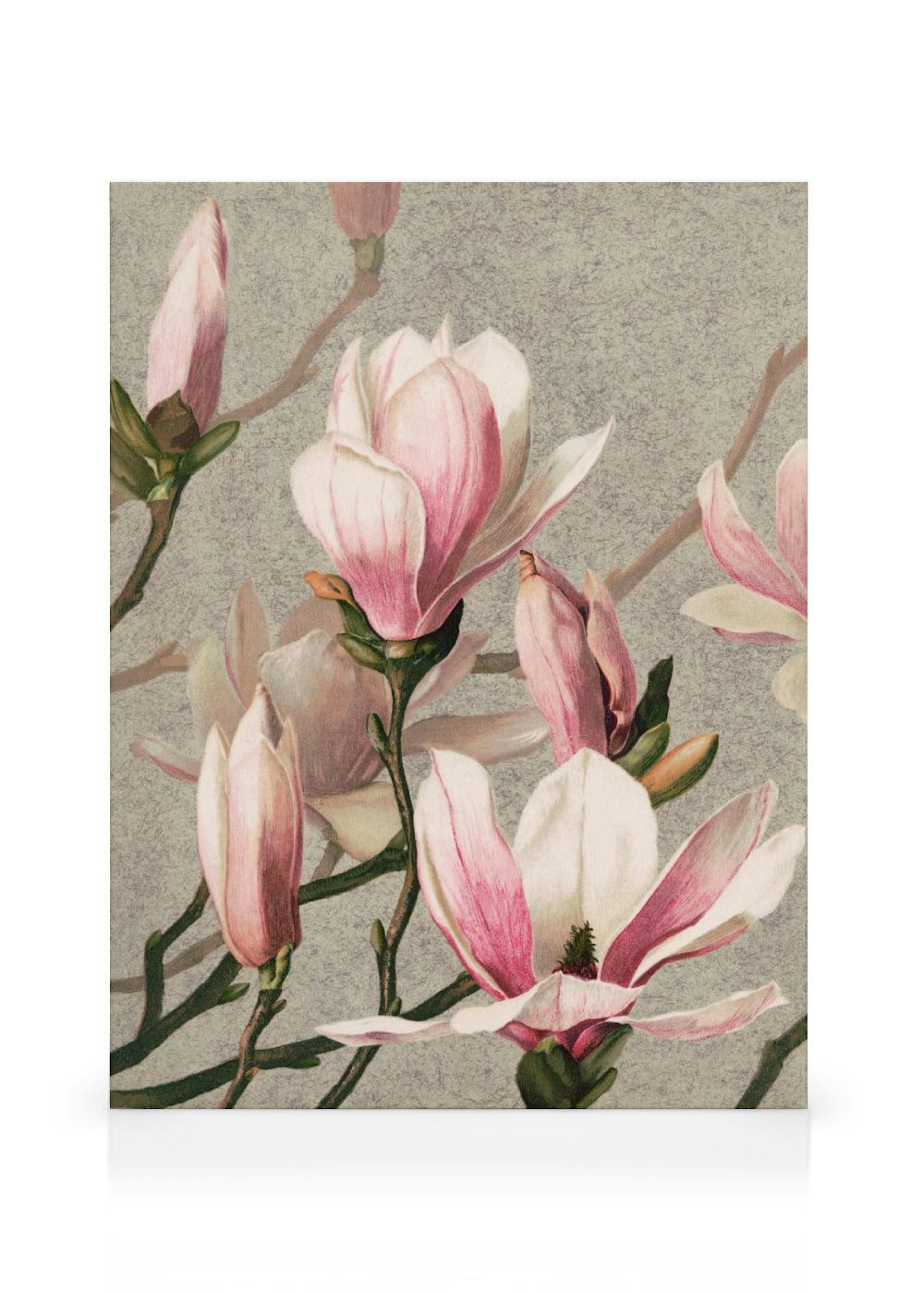 L. Prang & Co. - Magnolia Canvas print