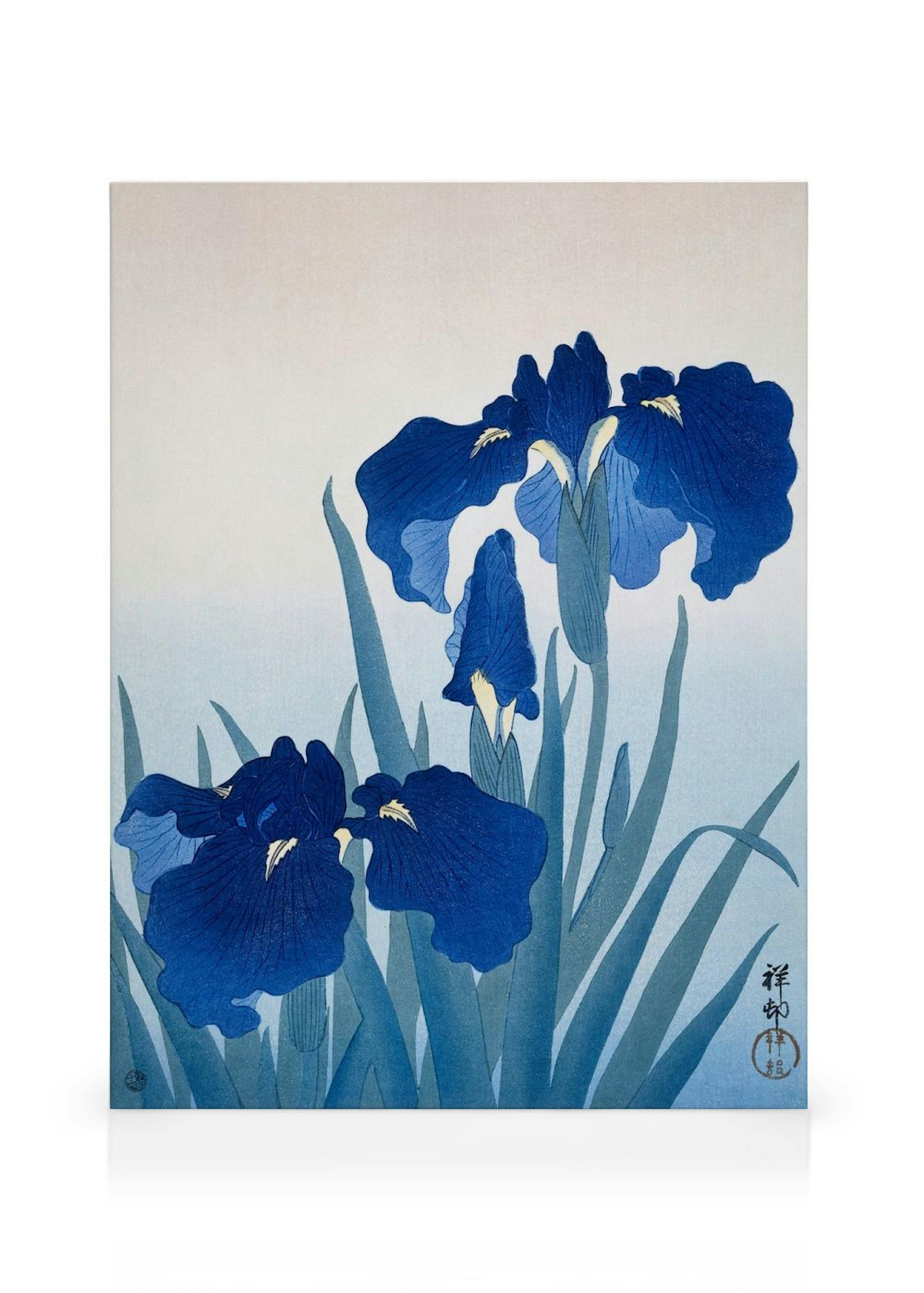 Ohara Koson - Iris Flowers Kanvaasi